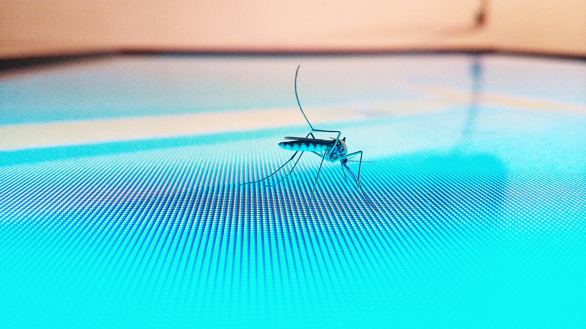 医学昆虫学期刊：JOURNAL OF MEDICAL ENTOMOLOGY 研究范围