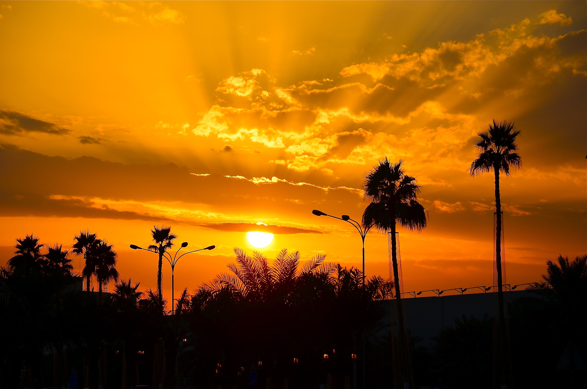 夕阳的微妙之美：一抹金色，温柔入心