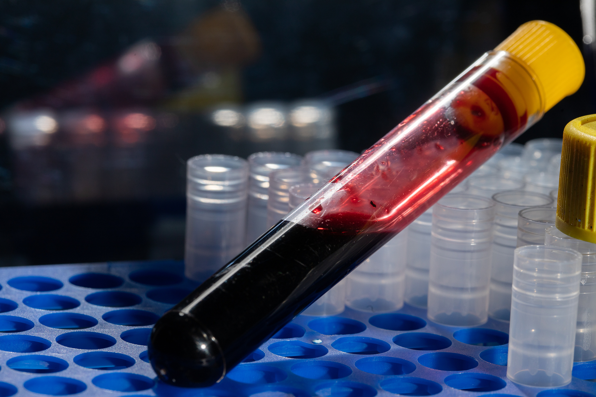 秦皇岛初中生卫校选择指南：2022年热门医学院校推荐