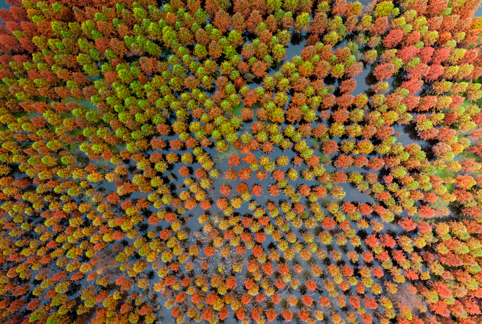 先理后彬是什么意思