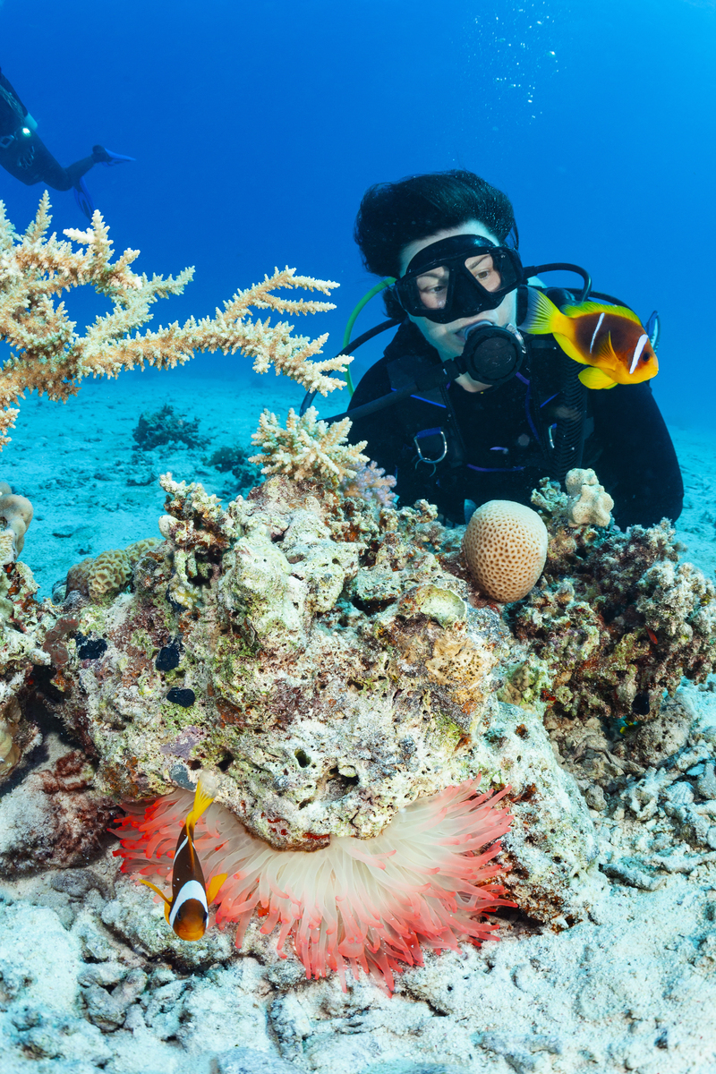 雅思口语part2 一个水上冒险活动 素材