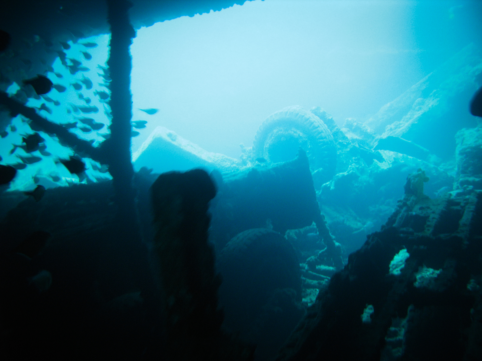 underwater scenes