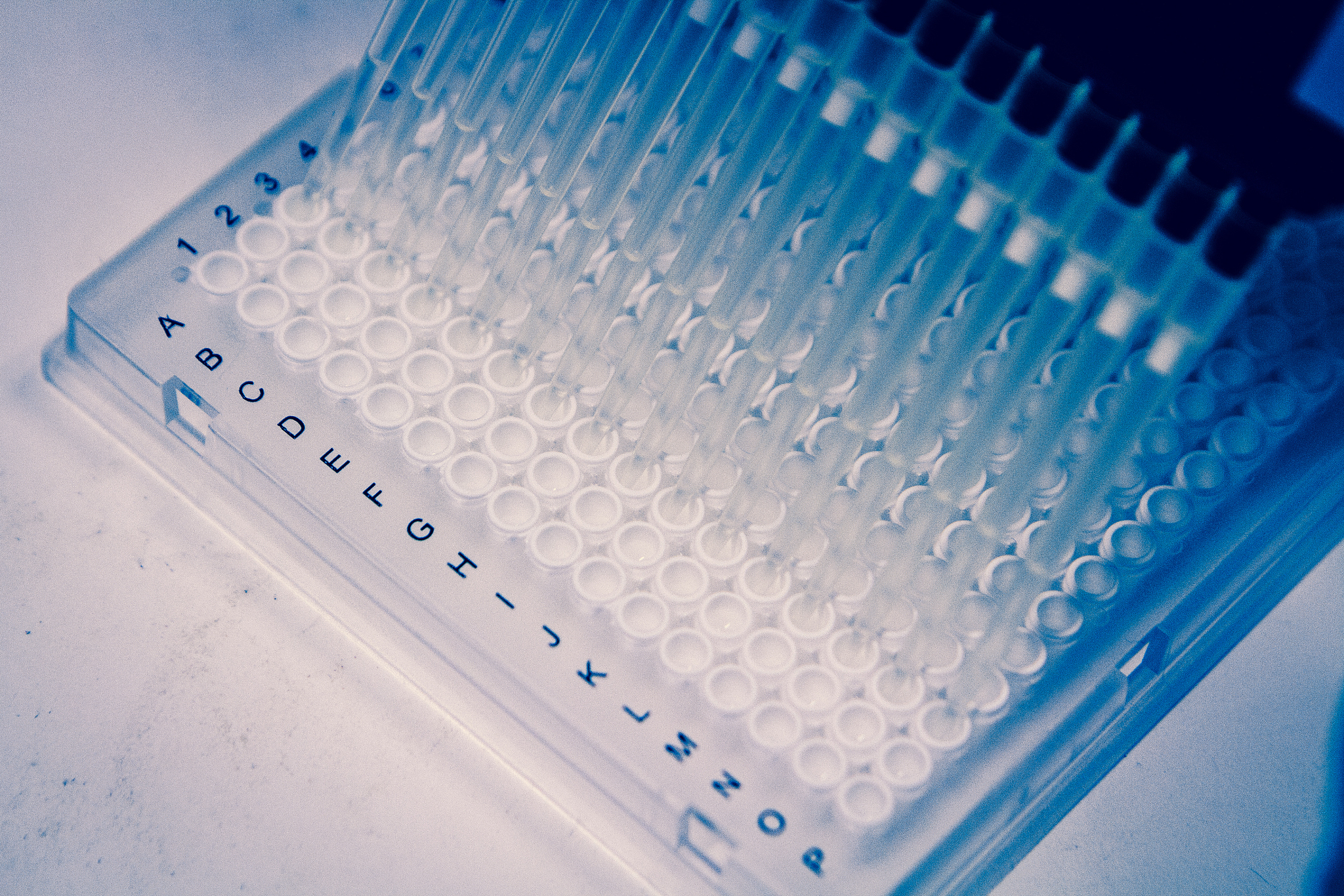 write-a-review-paper-of-no-less-than-20000-words-on-the-theme-of-Application-of-plasmon-coupled-fluorescence-directional-emission-to-the-preparation-of-temperature-sensors