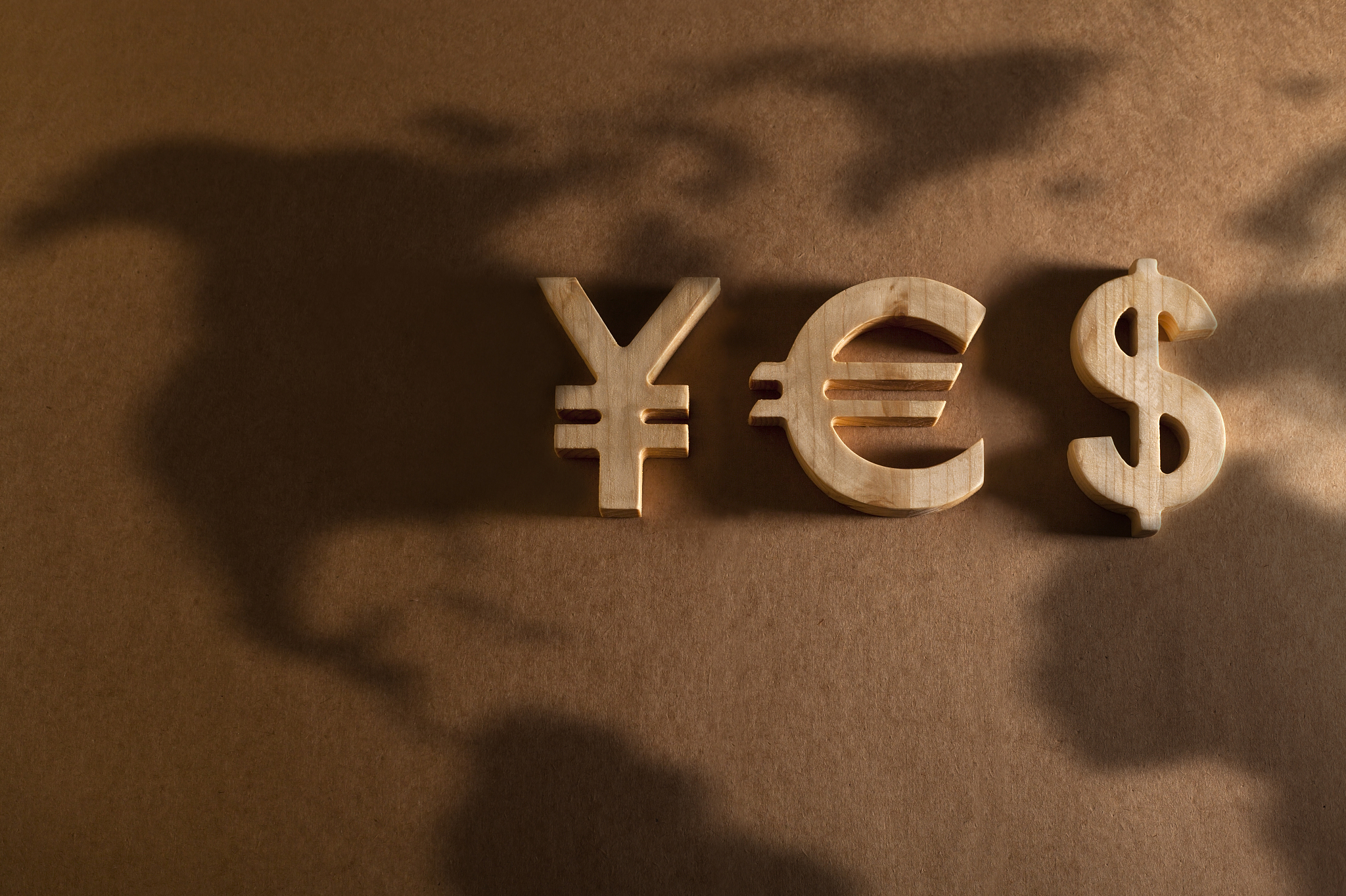 economy and currency unit