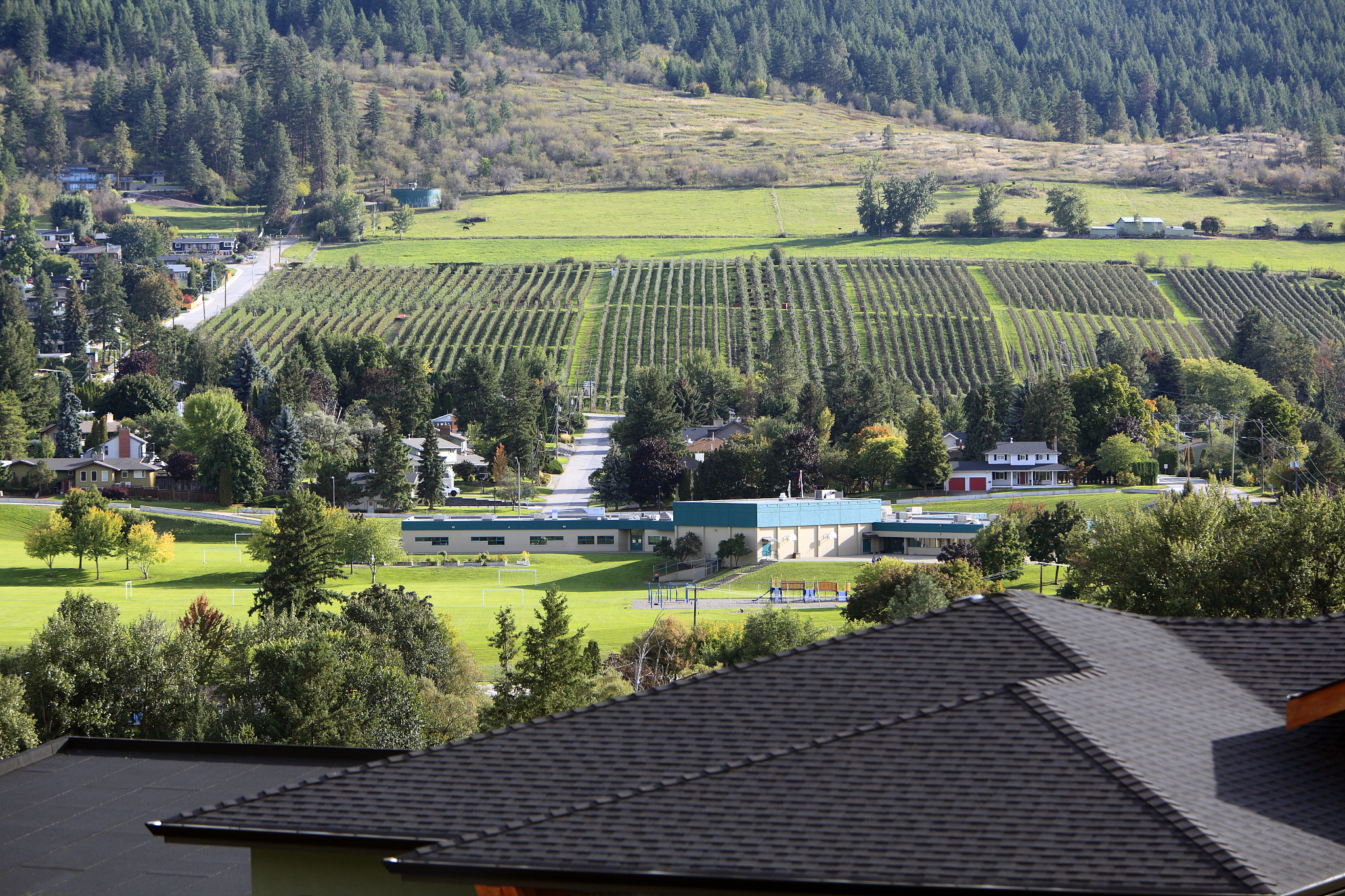 凉山州农业学校旅游服务与管理专业如何好学吗