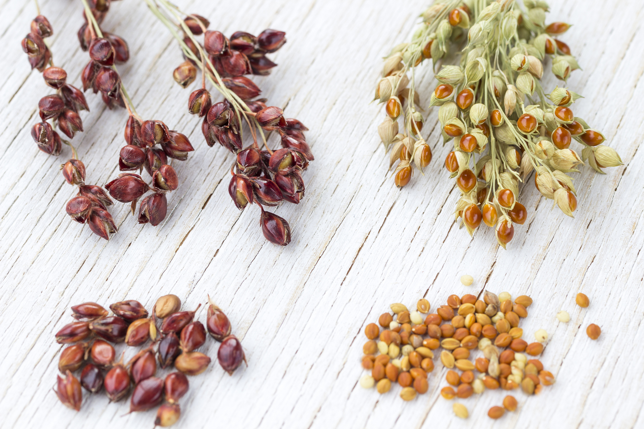 酸枣仁有什么功效