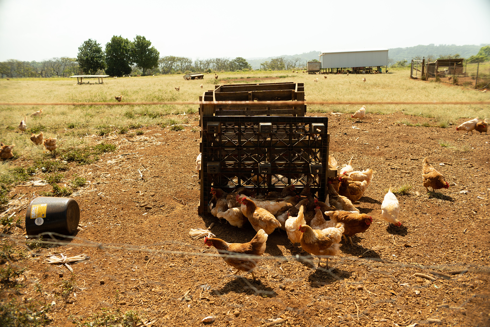 广西百色农业学校2023年招生条件：培养未来农业人才