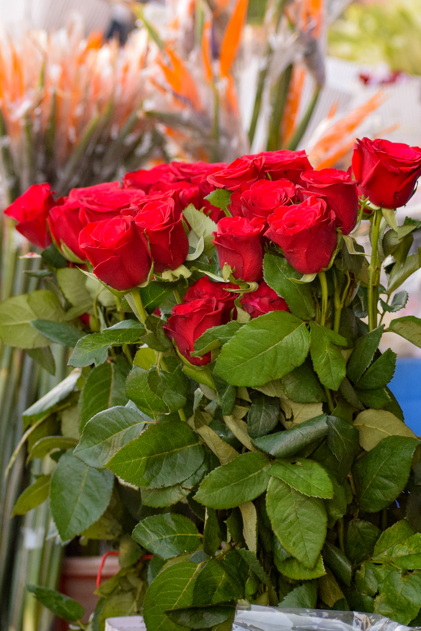 贵阳幼儿师范学校2019年教学规范