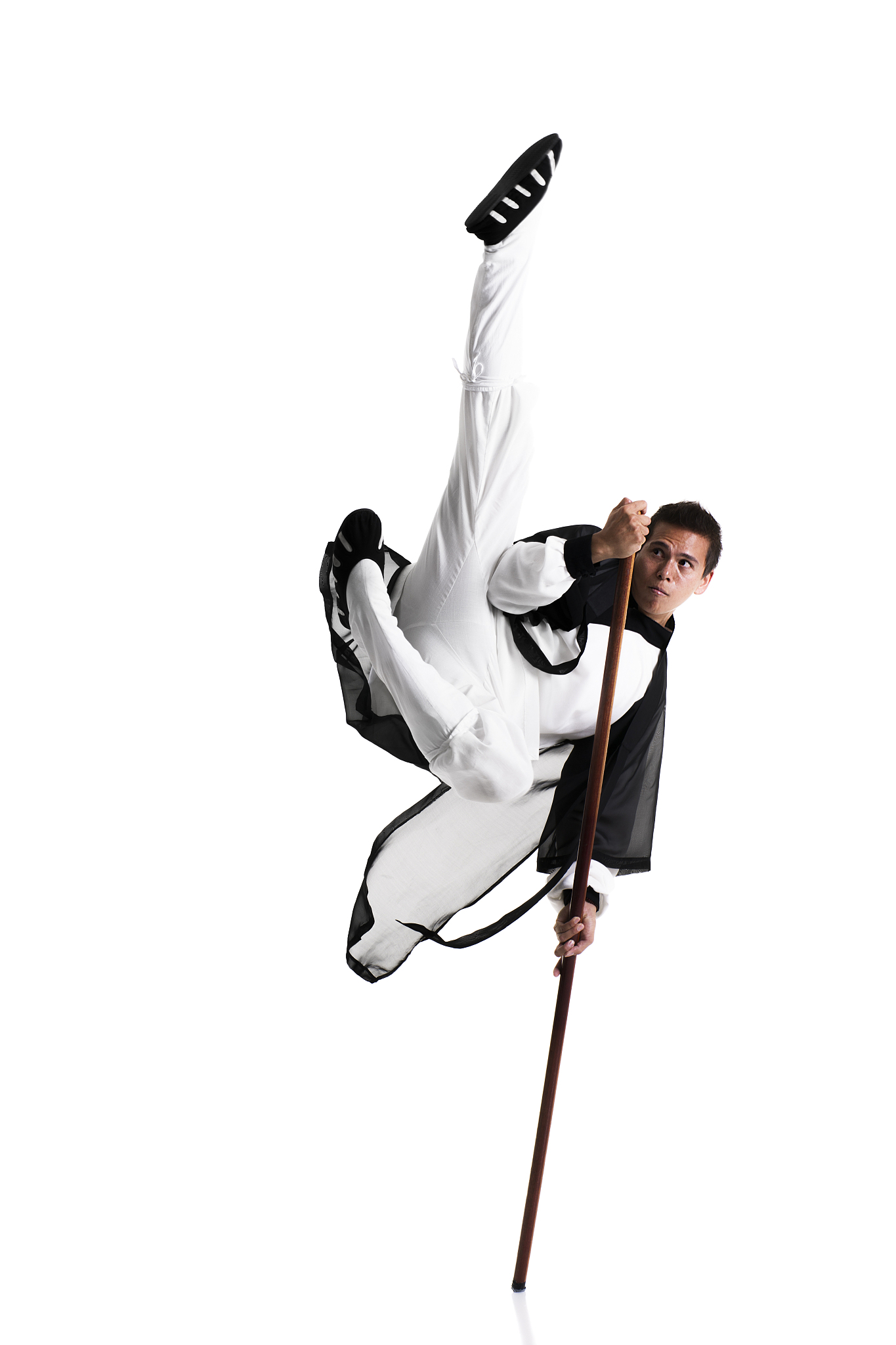 kung fu master
