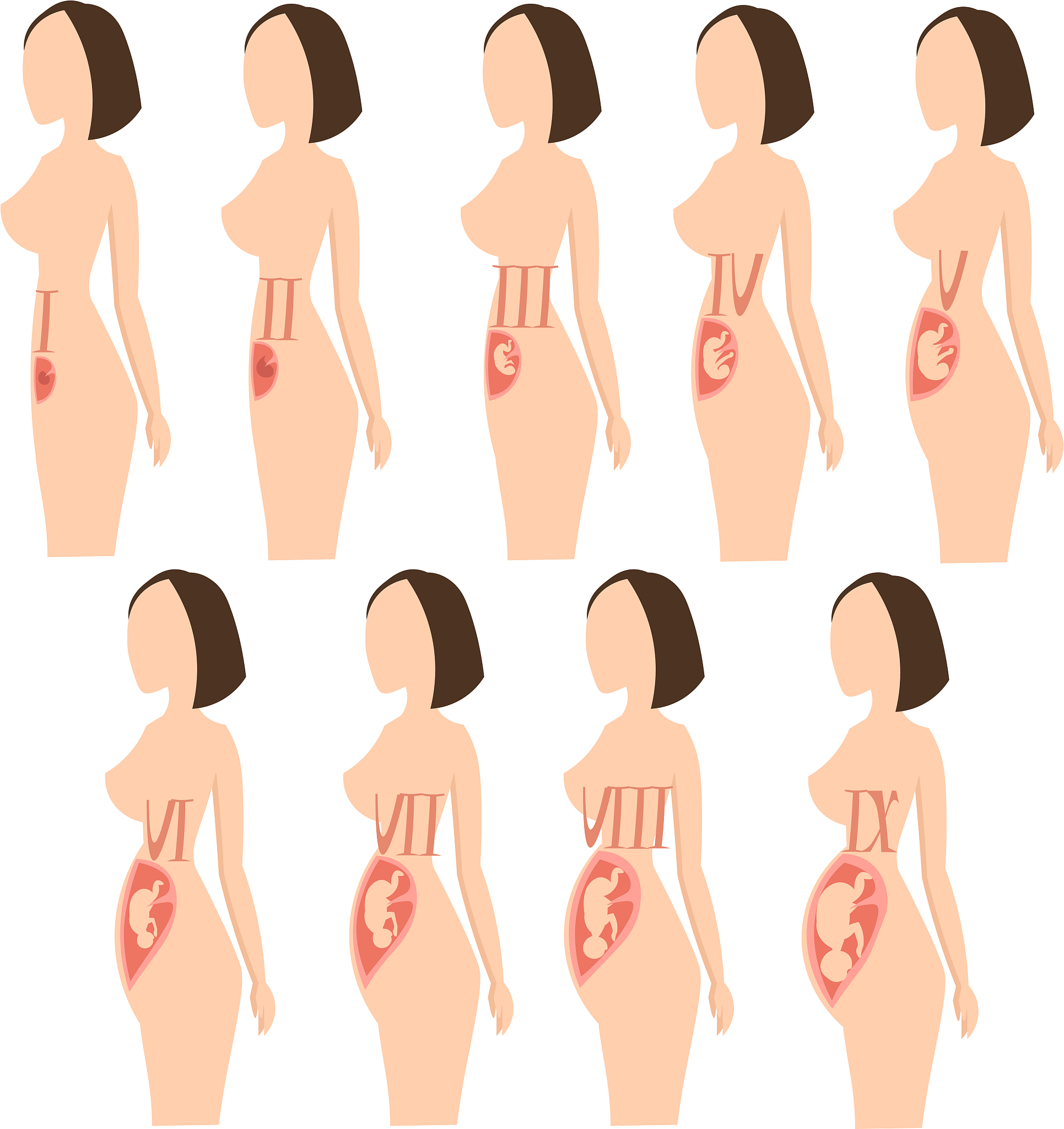 怀孕初期乳房会变大吗？