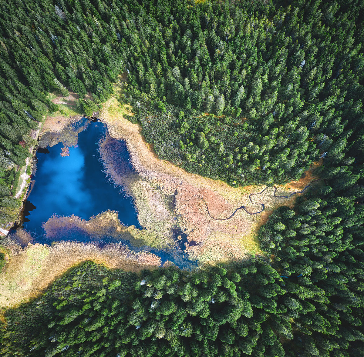 扩写以下内容使其更加丰富：在公园范围内确定进行视觉资源清查的视点是制定视觉资源清单的前提与基础。合理的视点选址可以使视觉资源清单更好地把握公园的整体视觉风貌改善游客的视觉体验快速识别视觉资源的变化实现有效的视觉资源管理。因此国家公园可以结合不同公园的视觉特征展开针对各个公园视点的独立科研建立以风景园林专业为核心的专家小组以视点为单位开展多学科的综合选址研究。并且通过充分考虑公园内外的高程差异、亟待