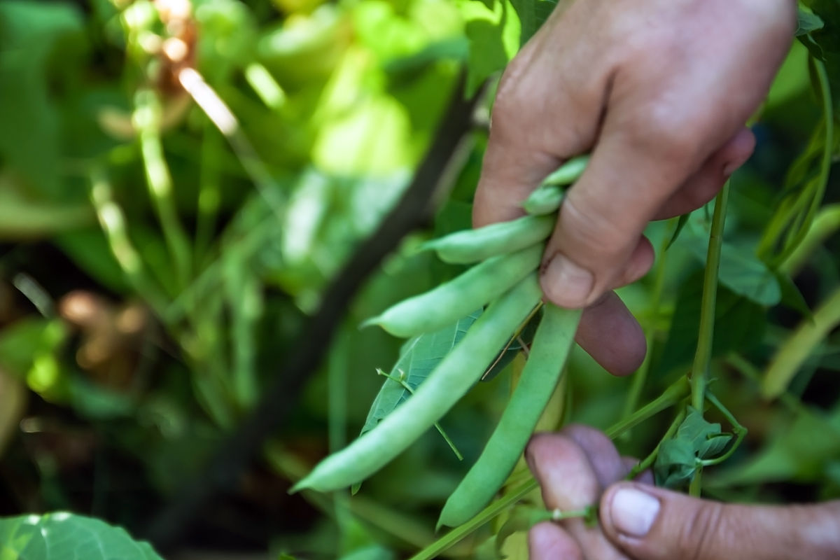 曲靖市农业学校2019年五年制大专招生信息