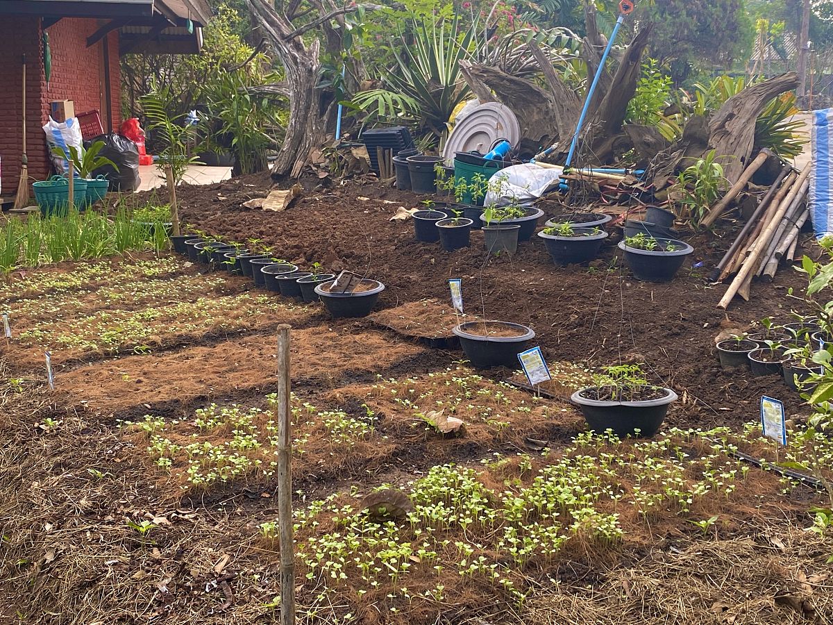 毕节农业学校药用植物栽培与加工专业教学质量好不好