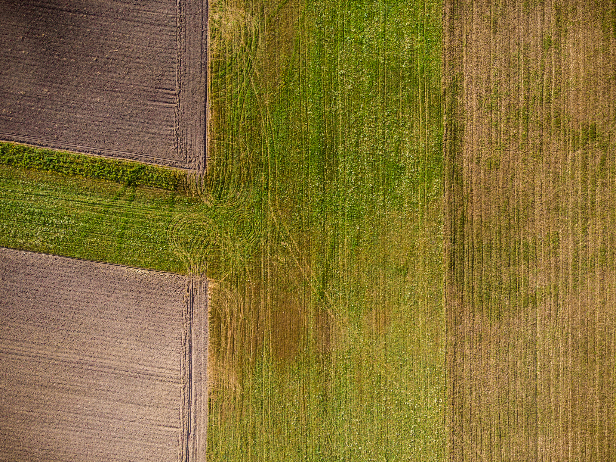国有农场财务核算中心建立探讨：优势、难点与实施建议