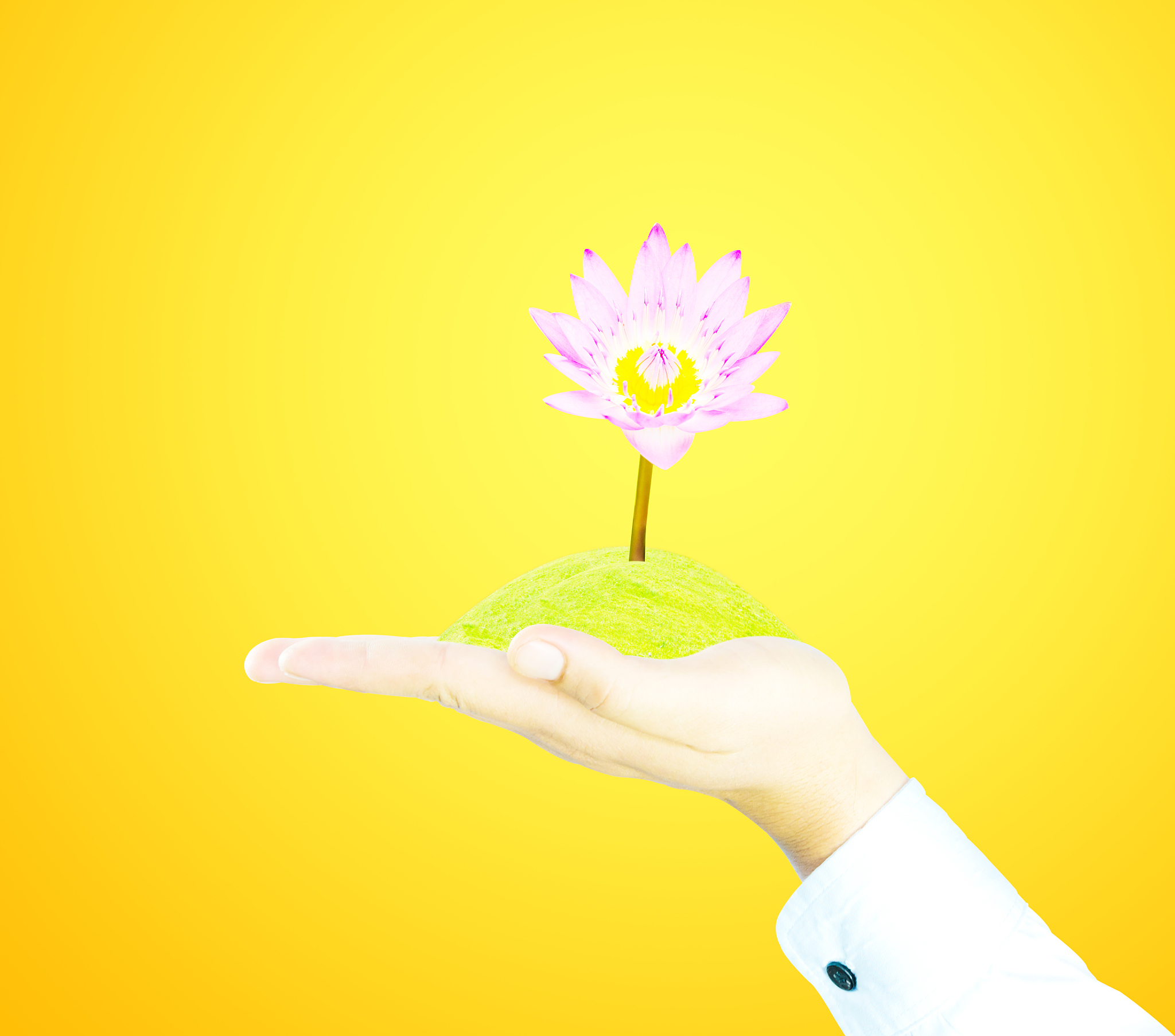二氧化碳转化：植物、动物、微生物和化学反应