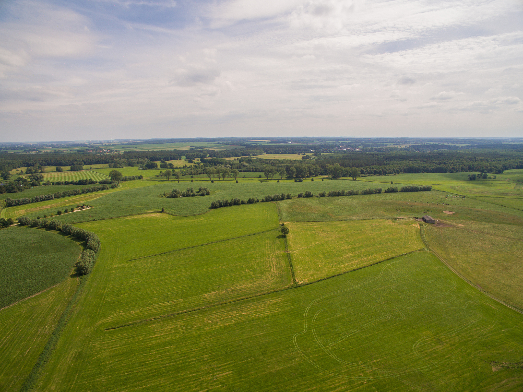 aerial view of  beautiful green agricultural fields in germany