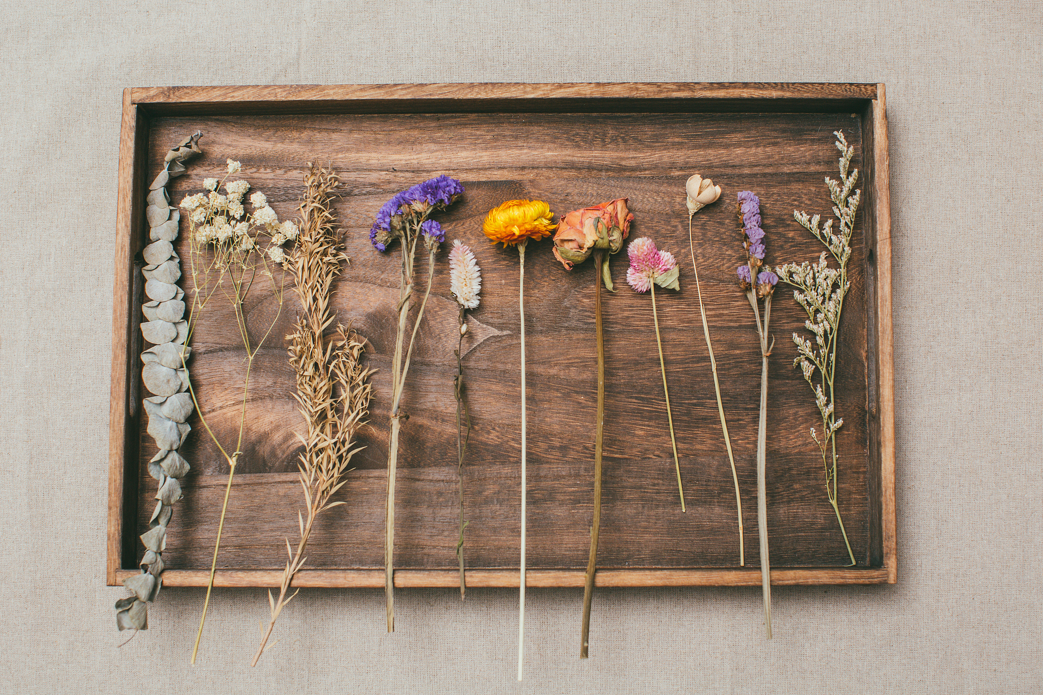 亲子制作干花案例