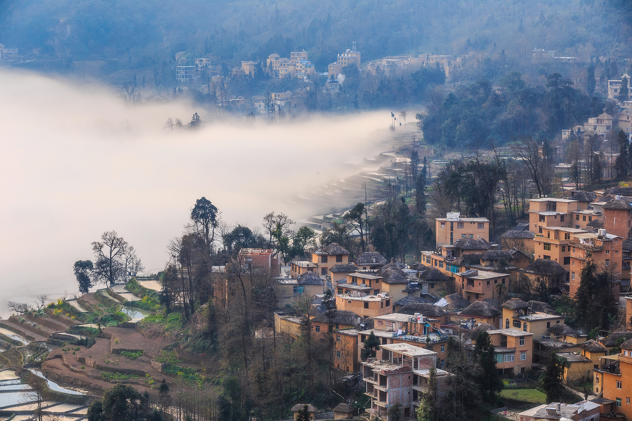 红河州农业学校畜禽生产与疾病防治专业怎么样