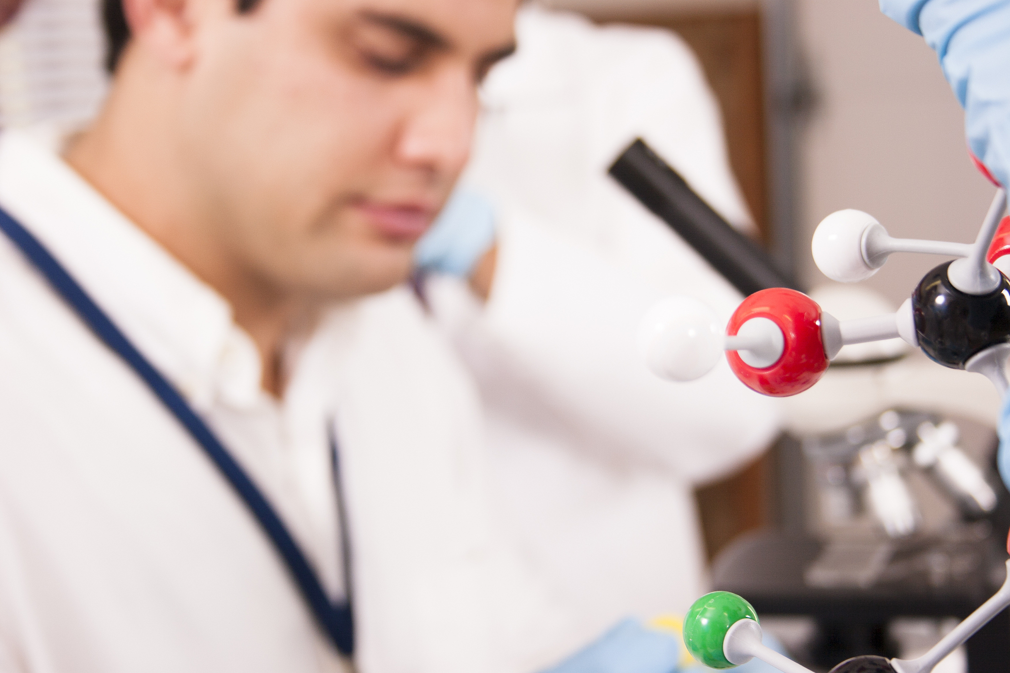 亚型是什么意思？