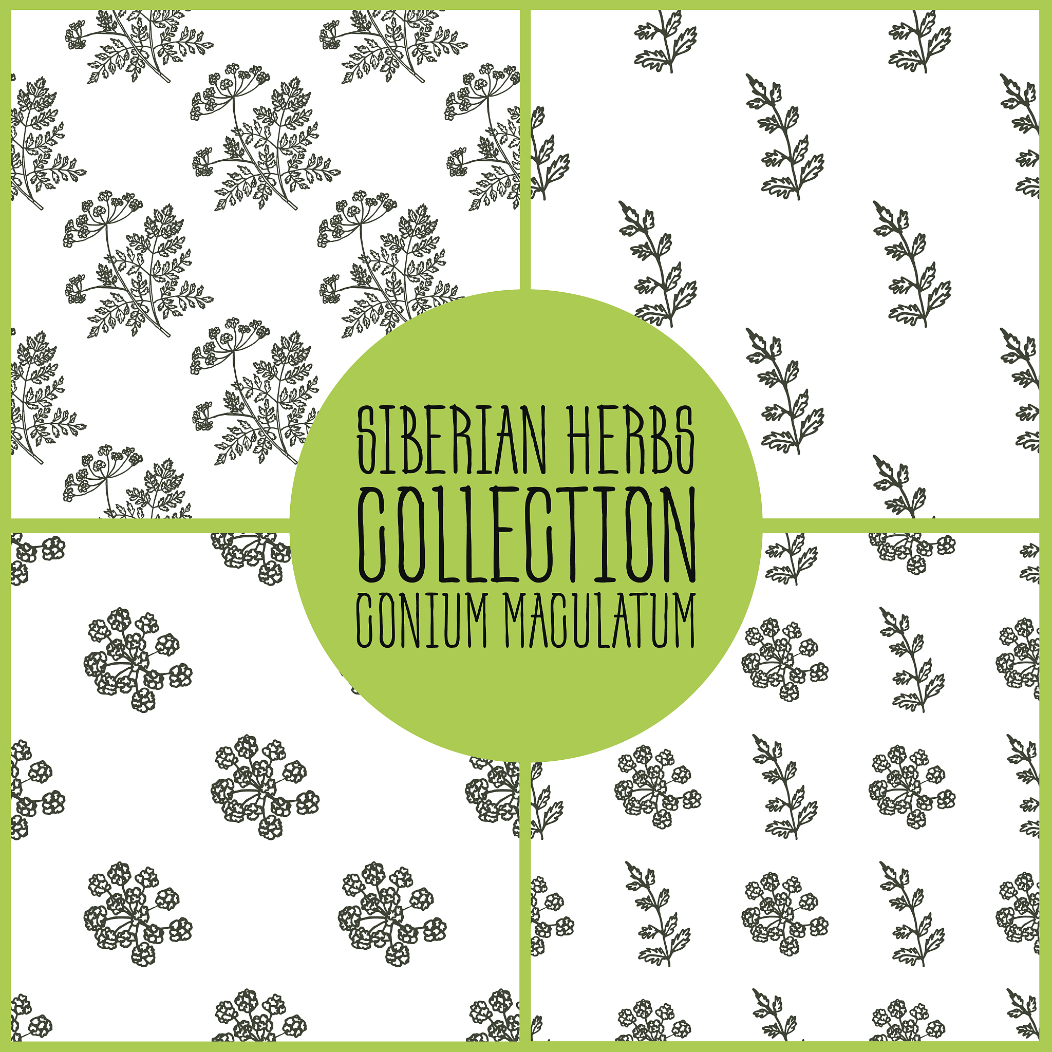 普拉切克情绪维度模型：8个基本维度和复合情绪