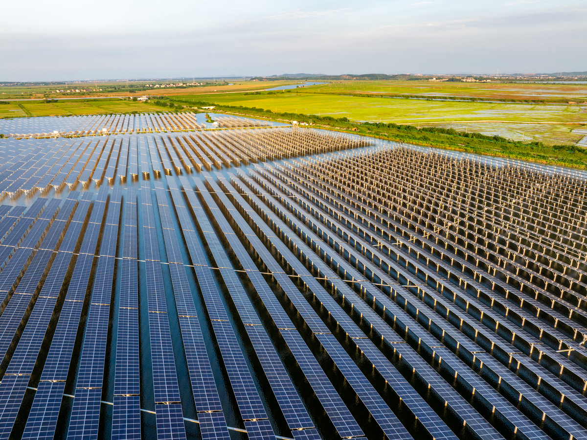 如何参与沙漠光伏的养殖项目中