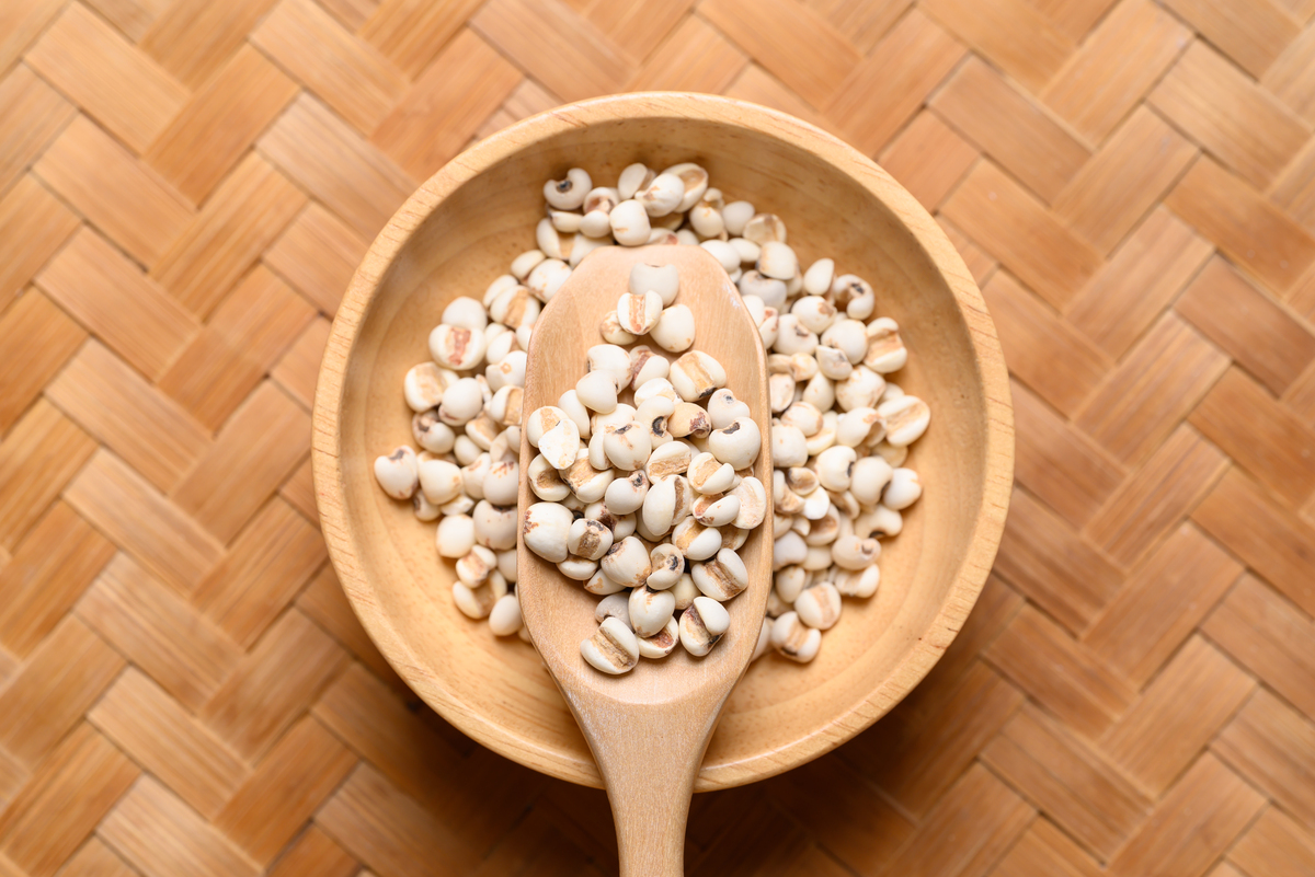 有什么食物可以去湿气的