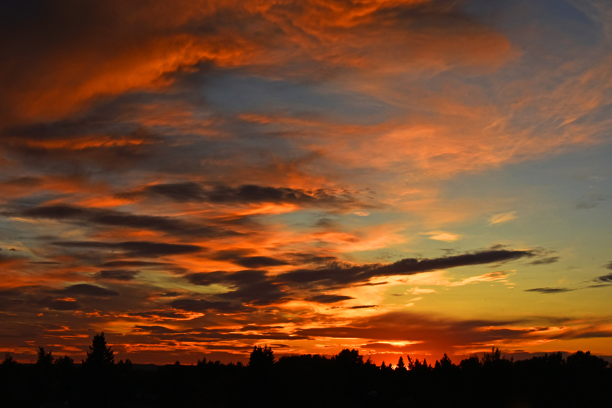 陕西城市经济学校2023年专业解读: 城市经济学等热门专业