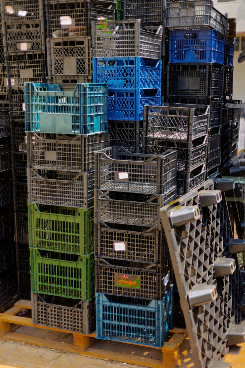 Steel Frame Warehouses: A Comprehensive Guide to Their Applications in the Logistics Industry