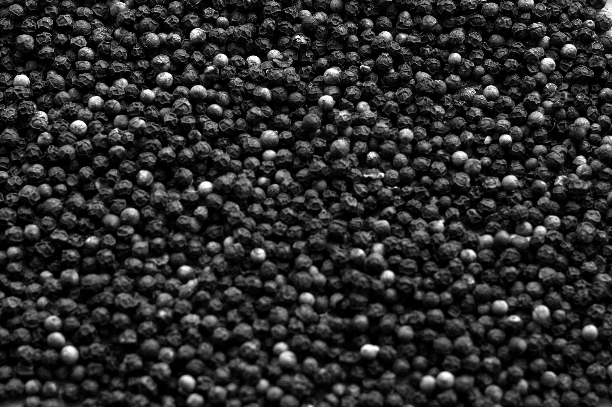 二氧化硅纳米颗粒促进小白菜生长并改善土壤微生物群落