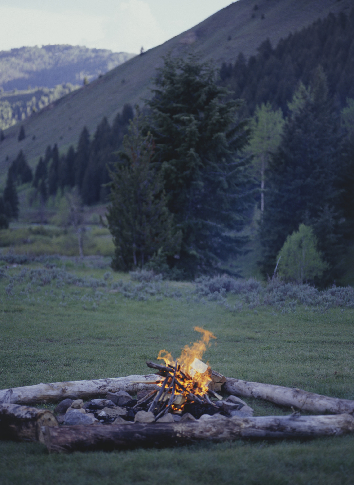 用镜头记录美好瞬间：摄影师如何捕捉生活的精彩