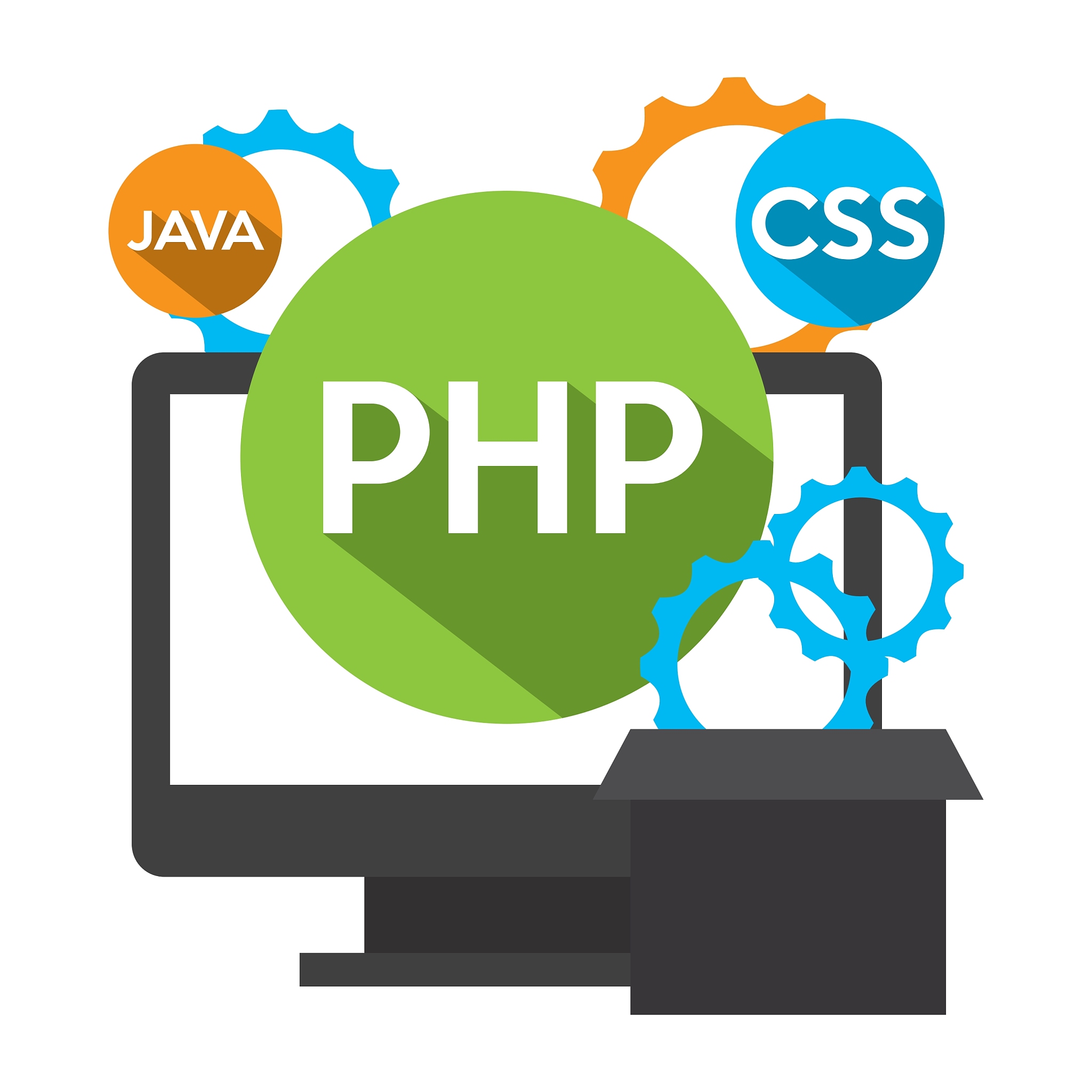 software development