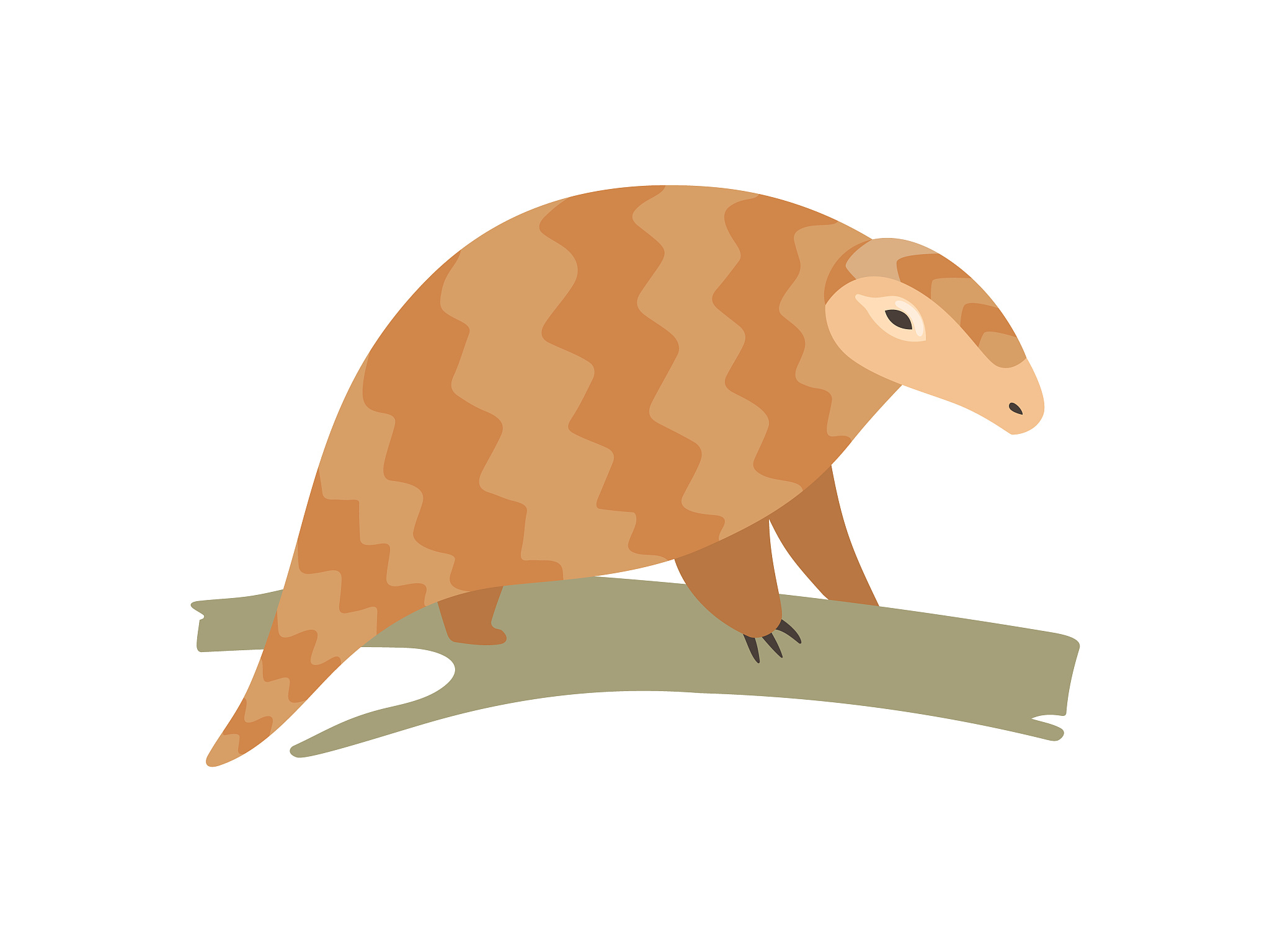 cute pangolin sitting on tree branch, rare species of animals ca