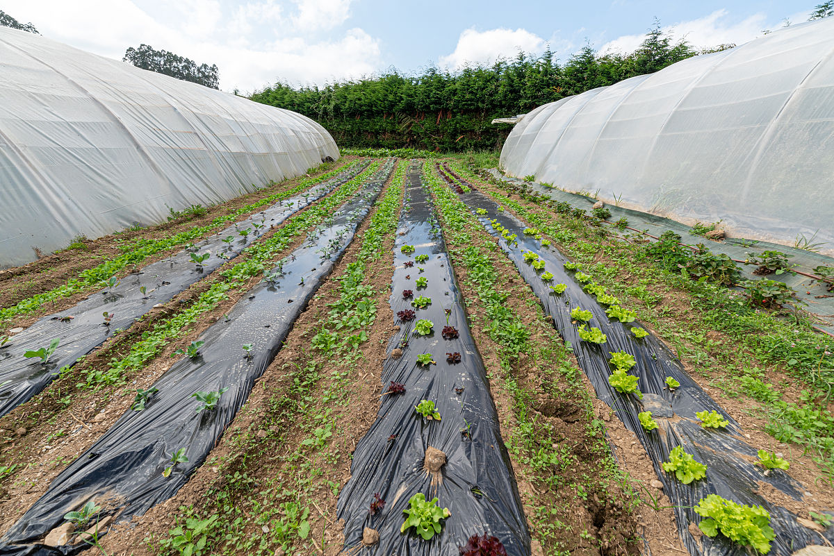 可降解液态地膜政策扶持：财政补贴、税收优惠等