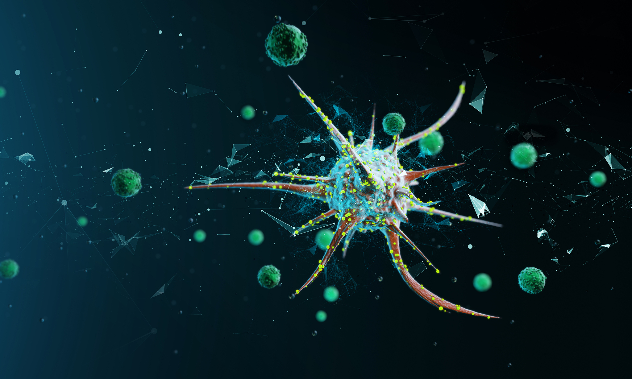 2023年柳林县高级职业中学有哪些热门专业？ - 附专业解读