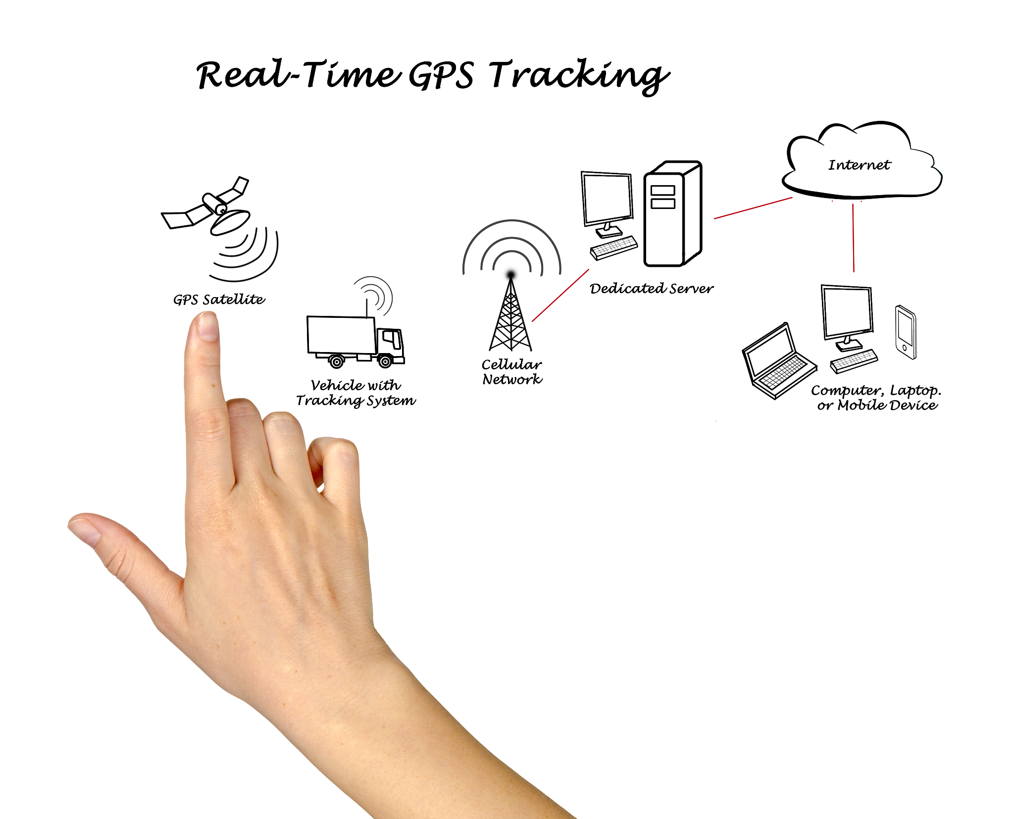 人体动作识别系统：基于MediaPipe和KNN的实时动作识别