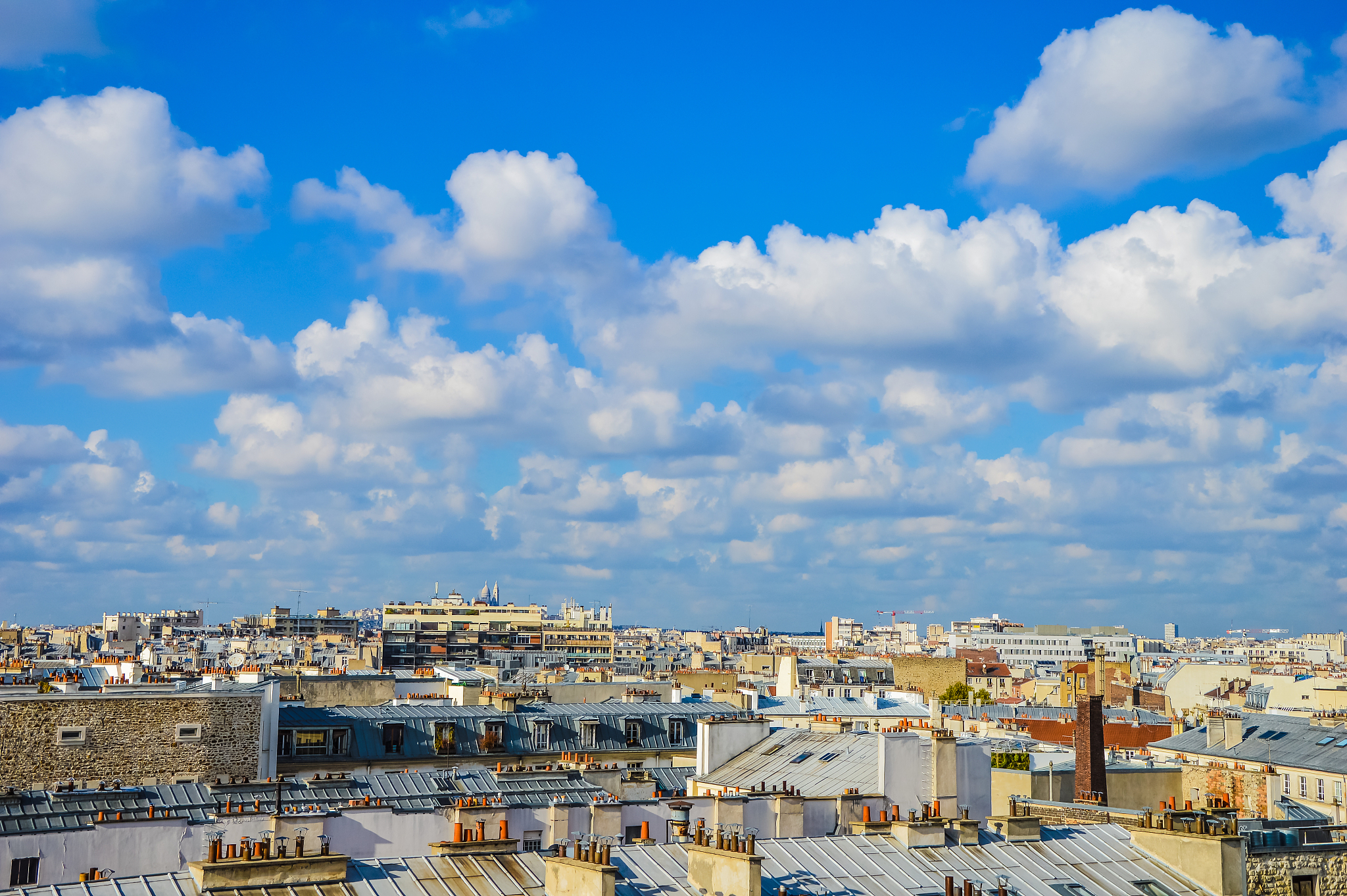 skyline of paris with roofs