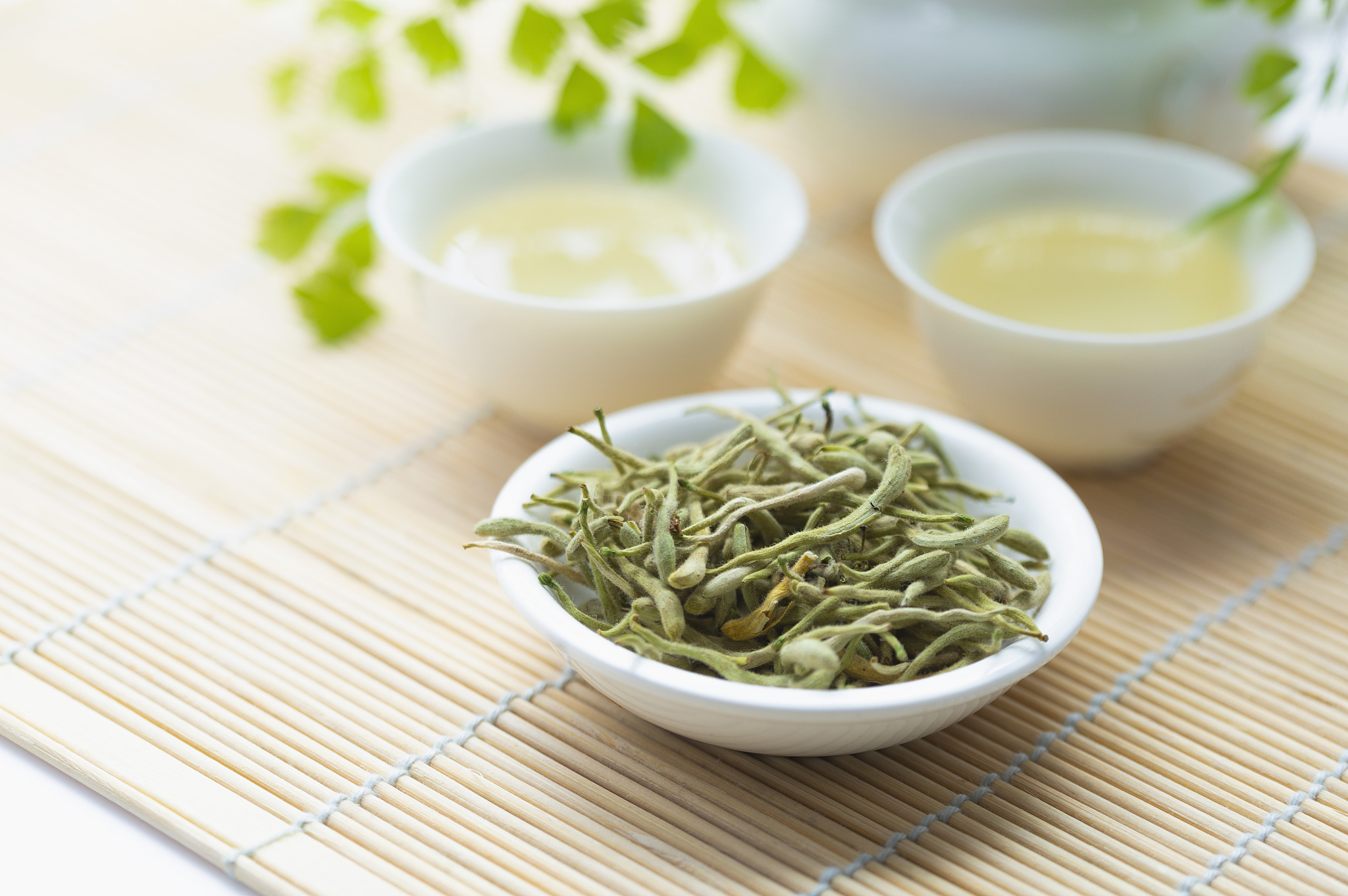 四川省达州中医学校什么专业适合女生