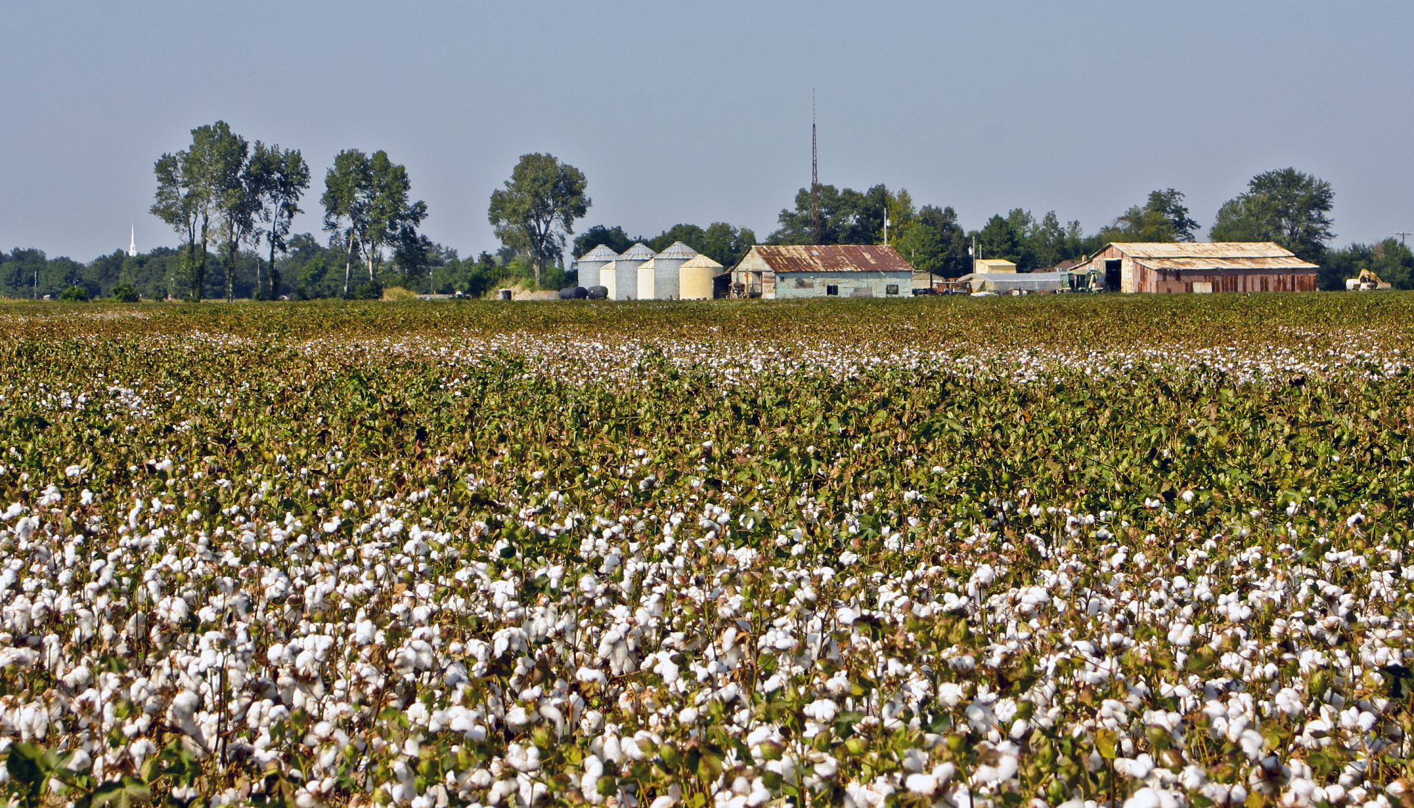 什么我不确定你在问什么问题请提供更多信息。一斤铁和一斤棉花哪个比较重一斤铁和一斤棉花的重量是相等的因为它们都是一斤。那他们掉进水里再捞出之后呢