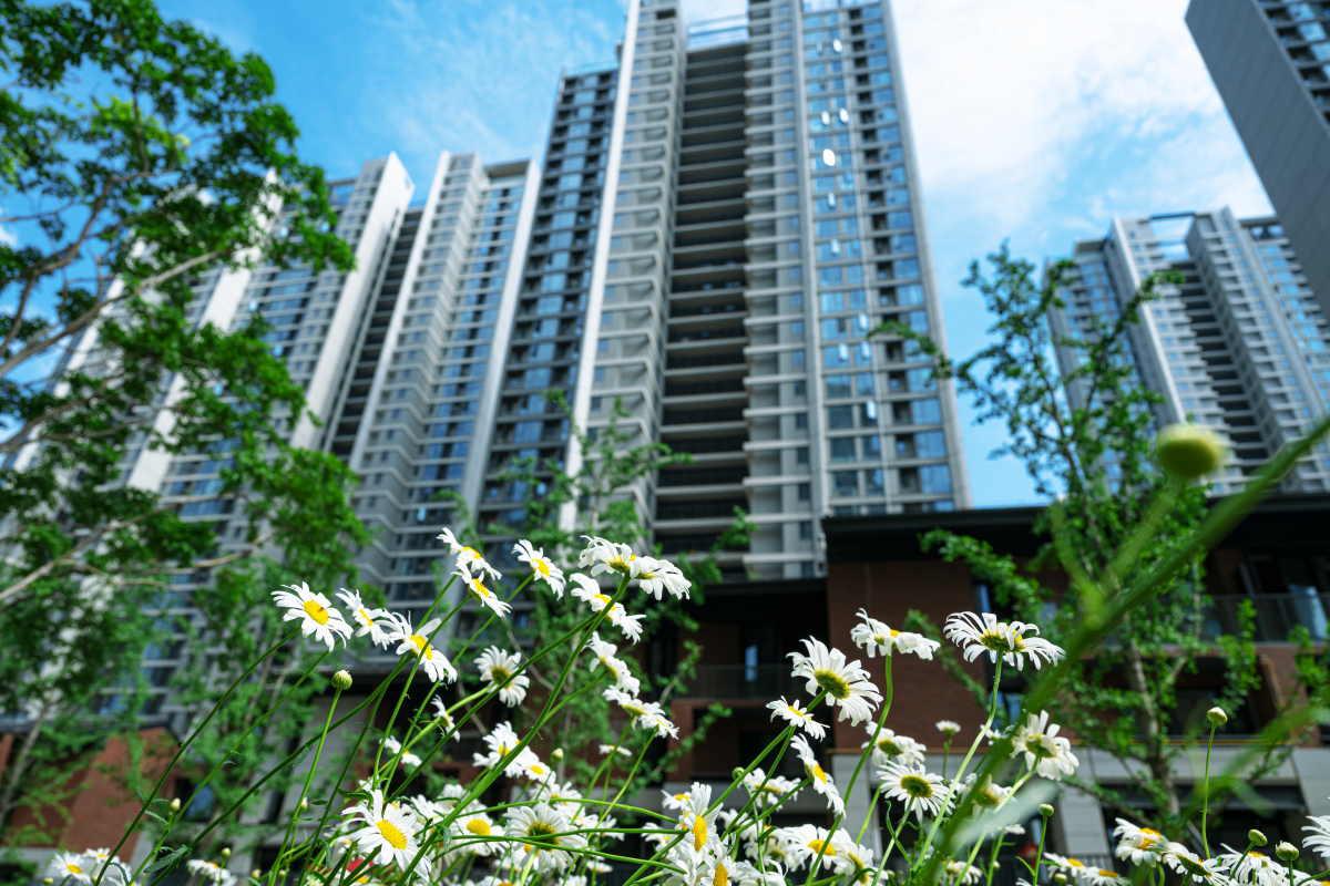 置业顾问角度专业讲解该房源项目名称：加德首座楼栋房号：6-1-801具体朝向：南北项目物业类型：住宅装修情况：清水项目卖点：环境：依青龙湖畔而建是人们在城市中理想的桃花源。占地约3万亩的青龙湖是成都主城最大的湿地公园自然生态的优势于此达到巅峰。交通：距离地铁4号线约100米十陵站距离成都东客站约25km周边沪蓉高速、渝蓉高速、夏蓉高速、绕城高速四大高速路环伺。项目本身有约170米景观中轴营造品质轻