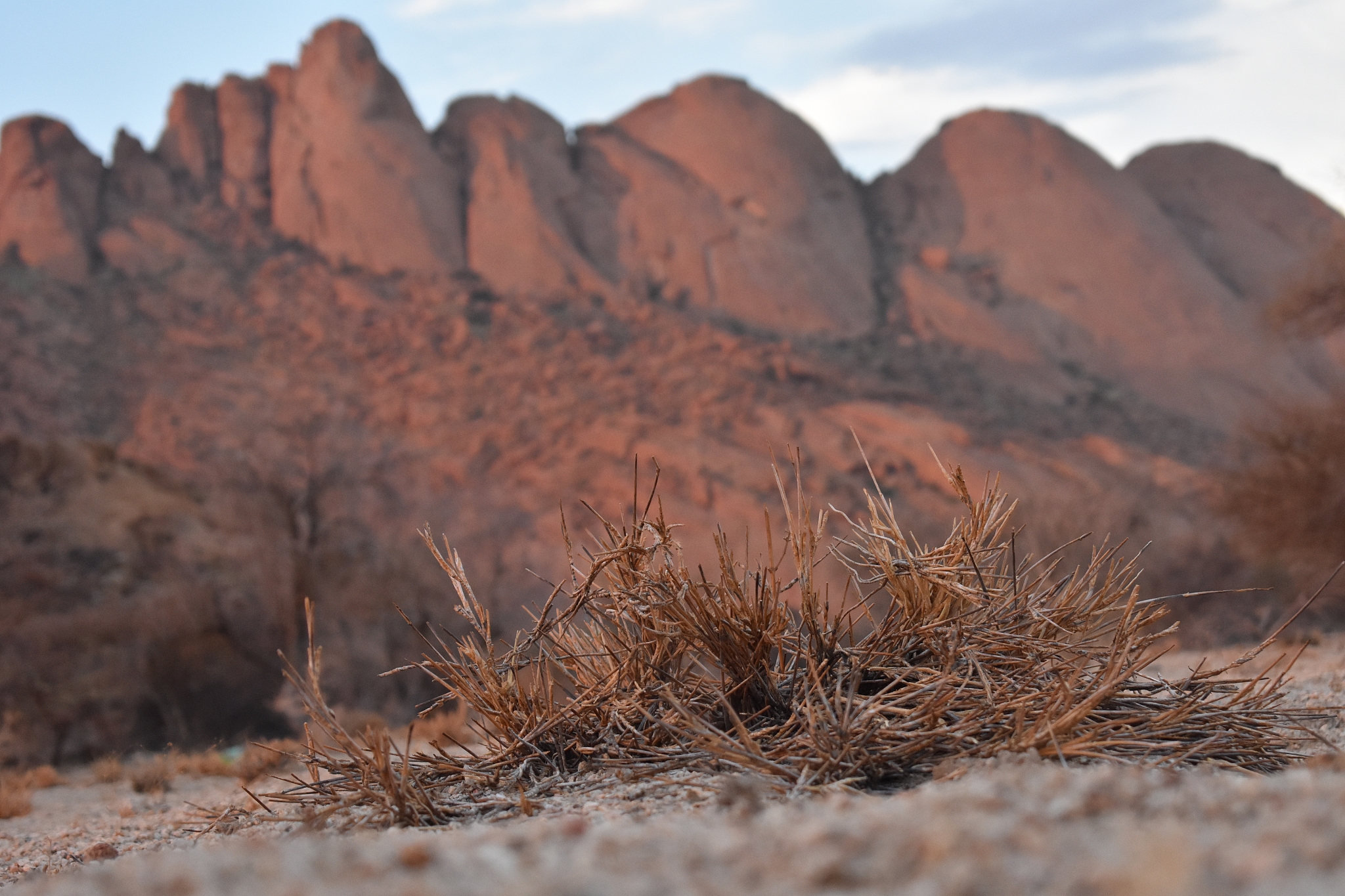 为什么沙漠里没有水？| 干旱地区的形成原因