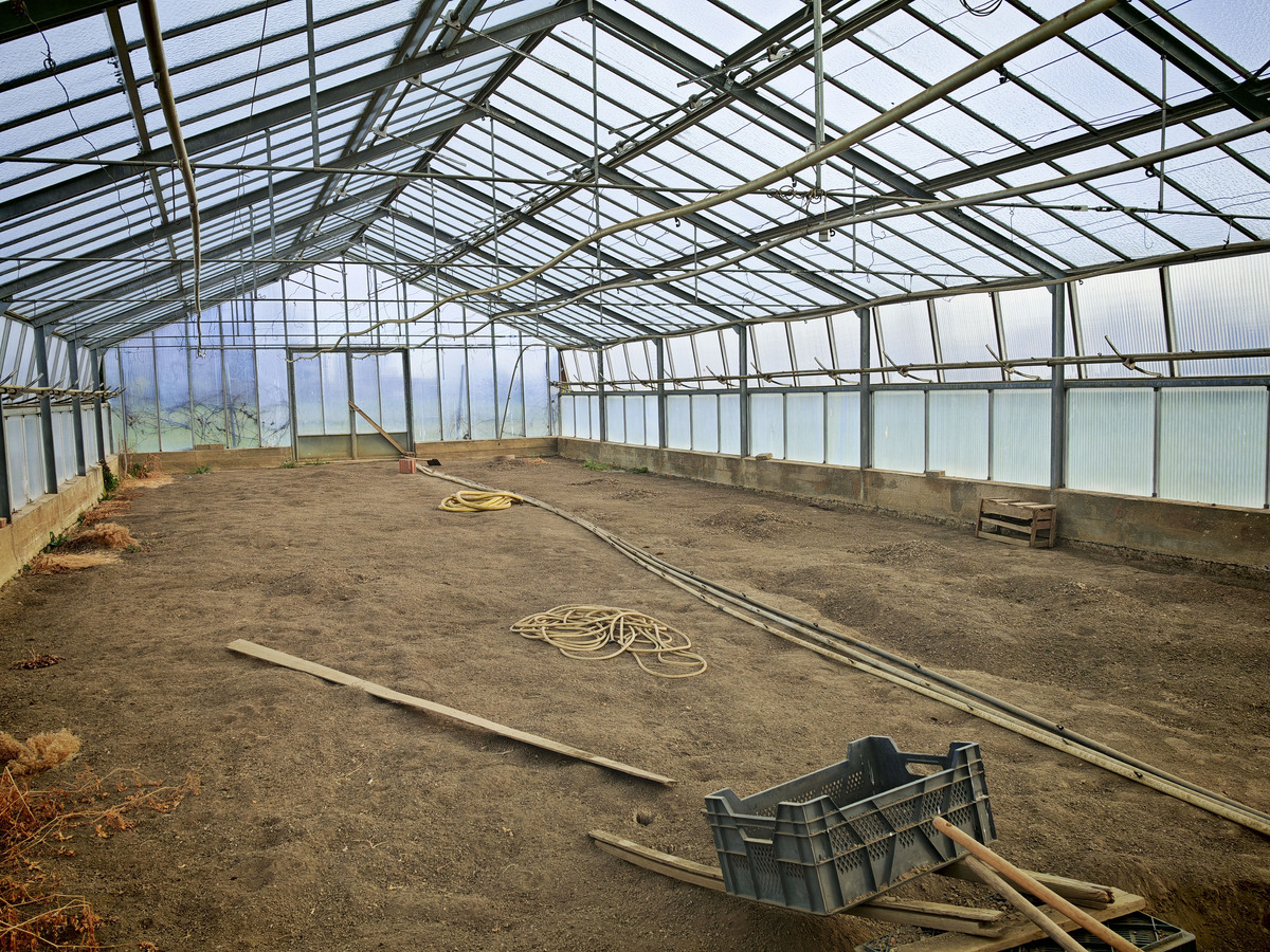 留坝县委办公室关于食用菌大棚资产运营管理情况的报告