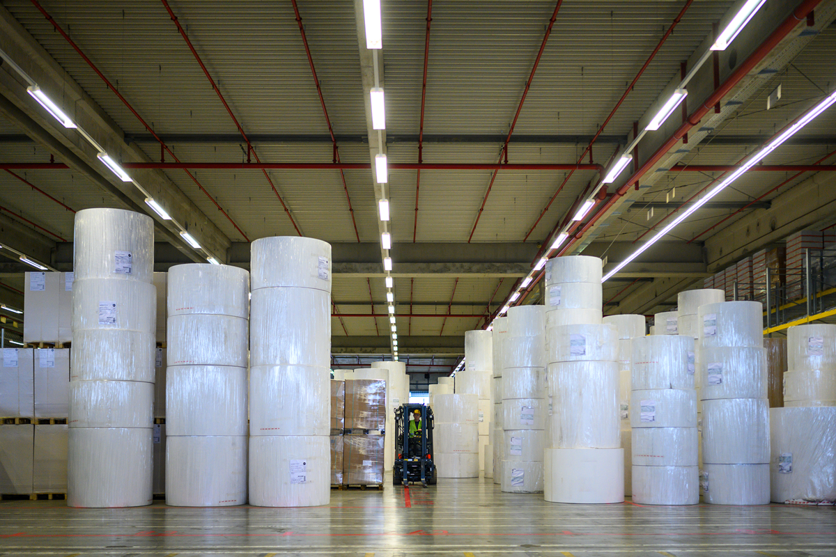 造纸厂除了生产纸还生产什么？ - 纸浆、纸板、纸制品等