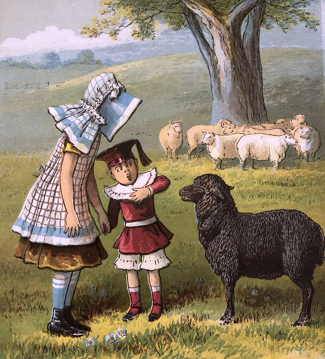 小羊的温暖旅程：从羡慕到感恩