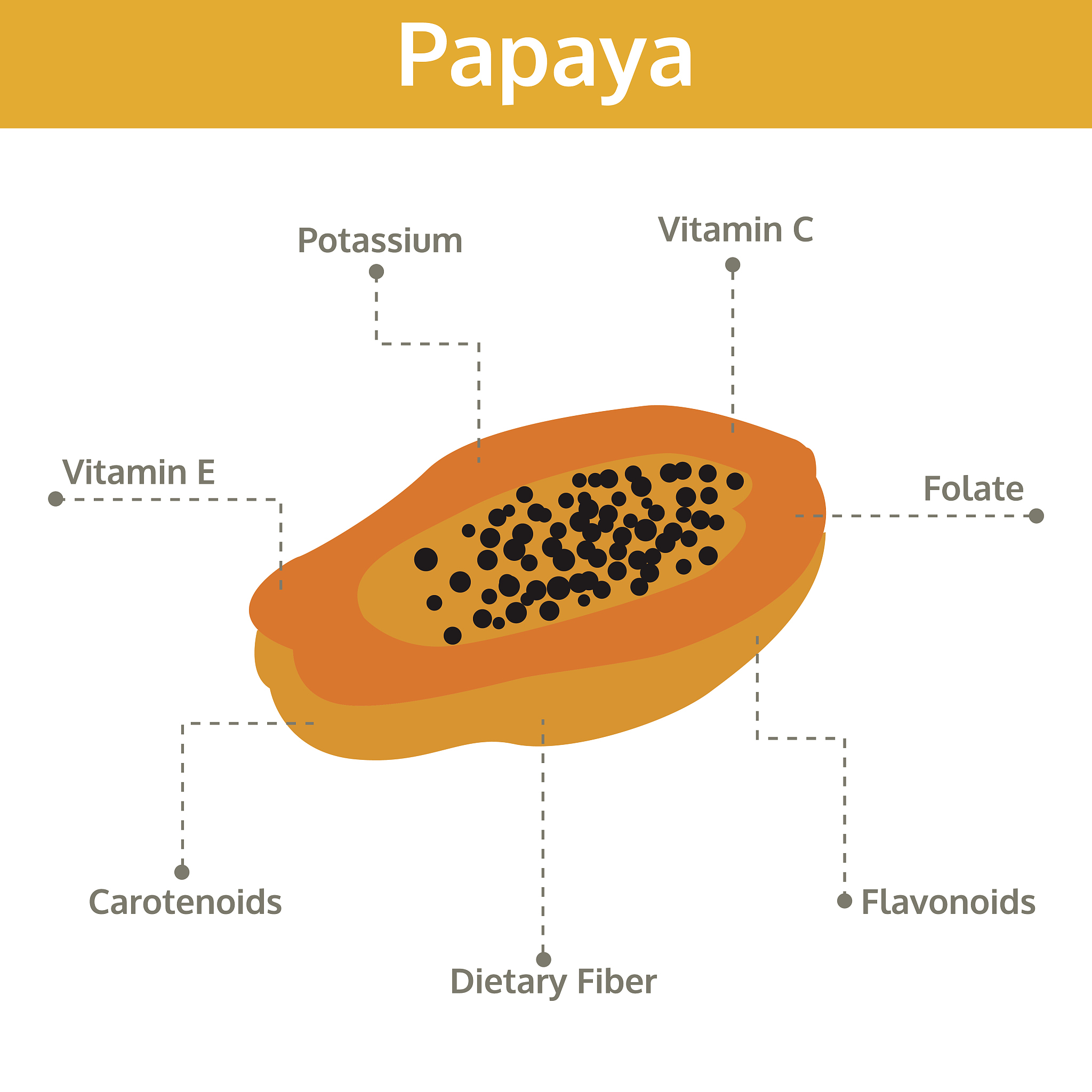 Banana Cargo Discoloration and Fungal Infection: Investigating Causes and Responsibility