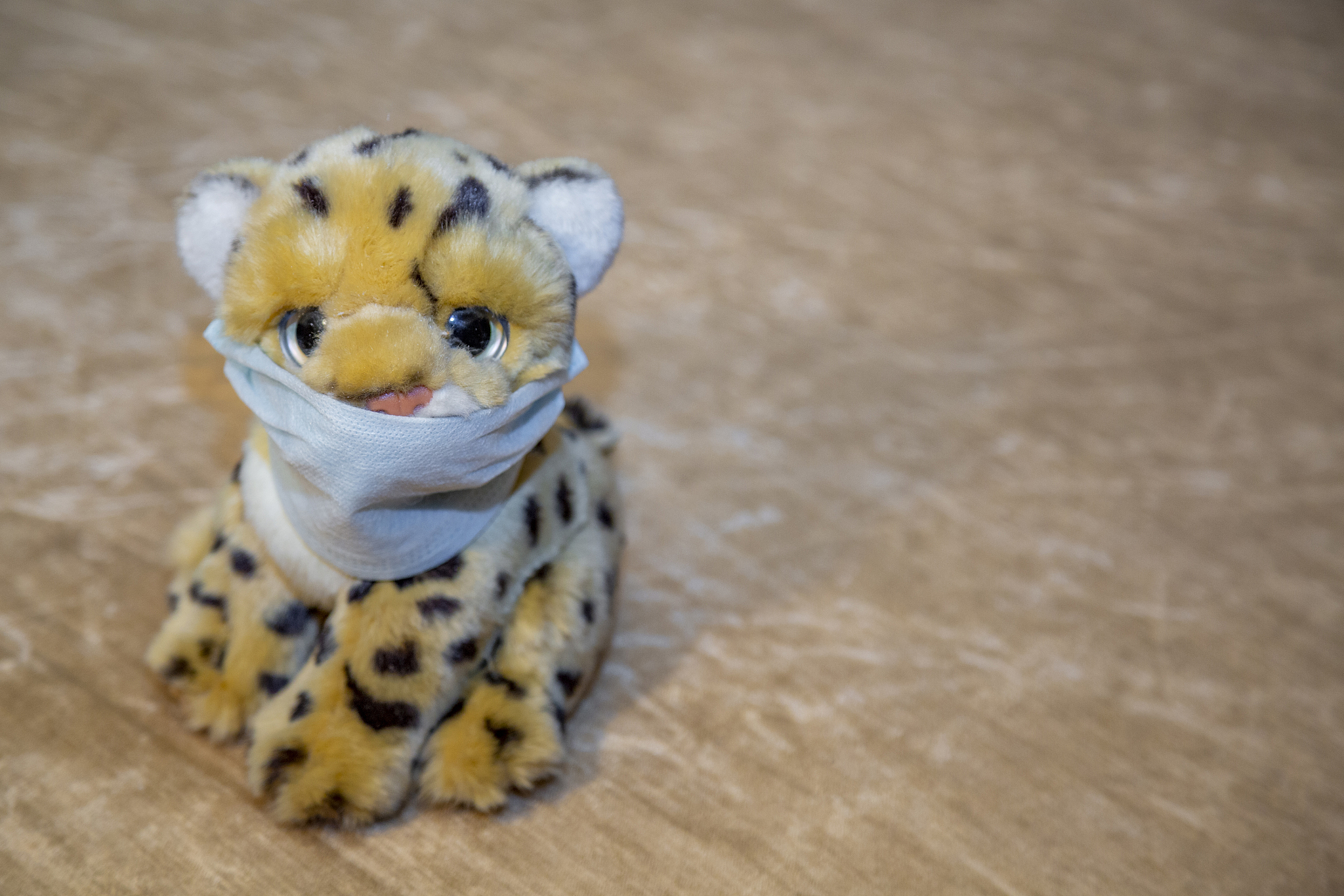 游戏收入梦幻西游