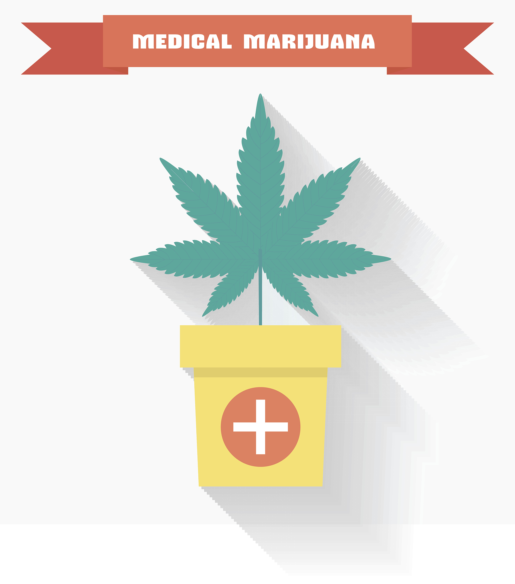 幼儿认识中草药的趣味课程名称