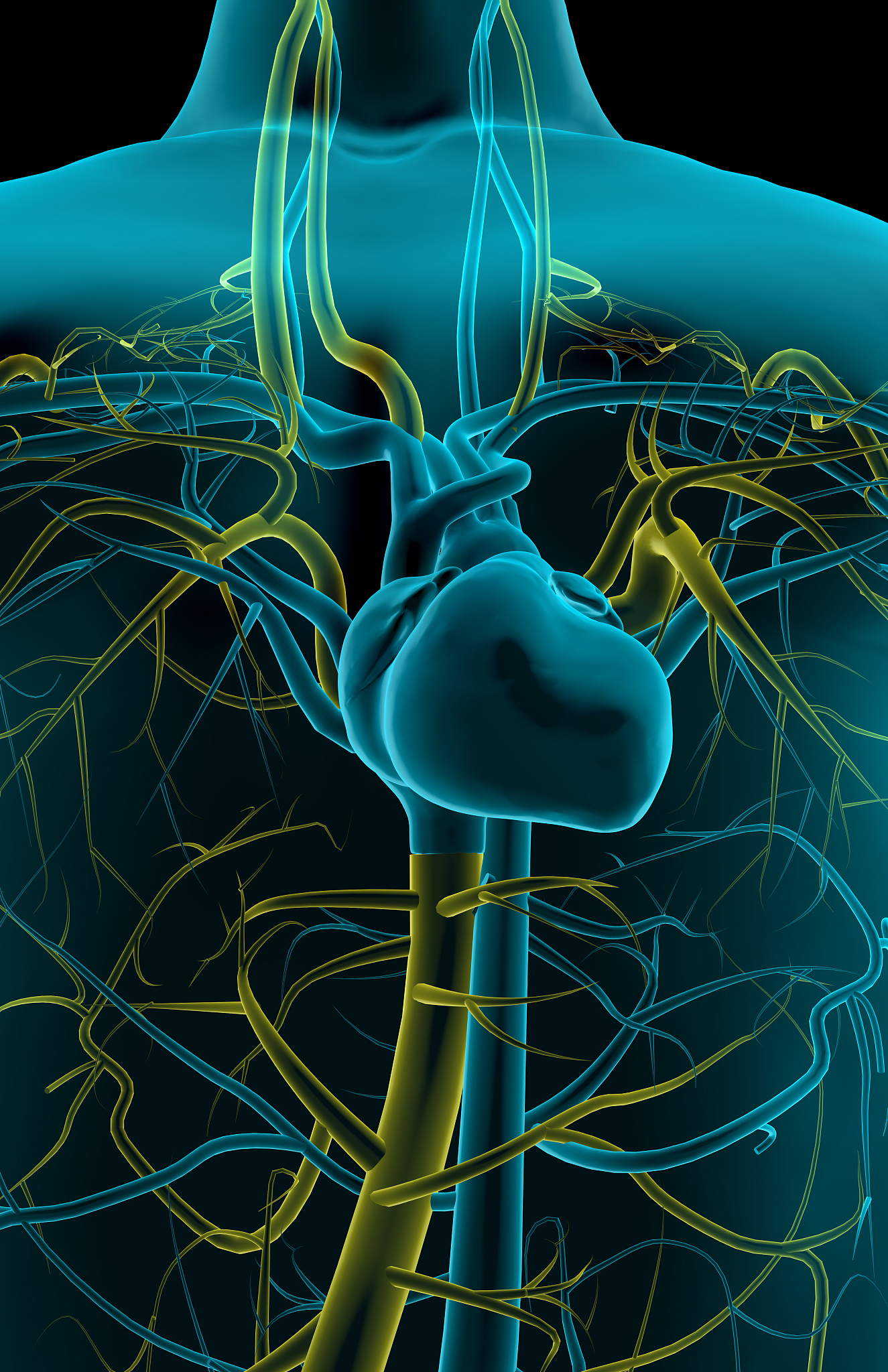 下肢动脉球囊扩张成形术2次下腔静脉滤器取出术1次下肢静脉造影1次胸主动脉支架置入术1次。手术分析记录