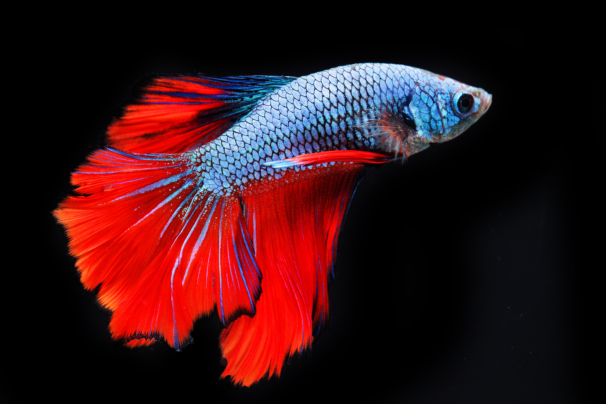 安徽生物工程学校是几本？ - 解析办学层次与专业特色