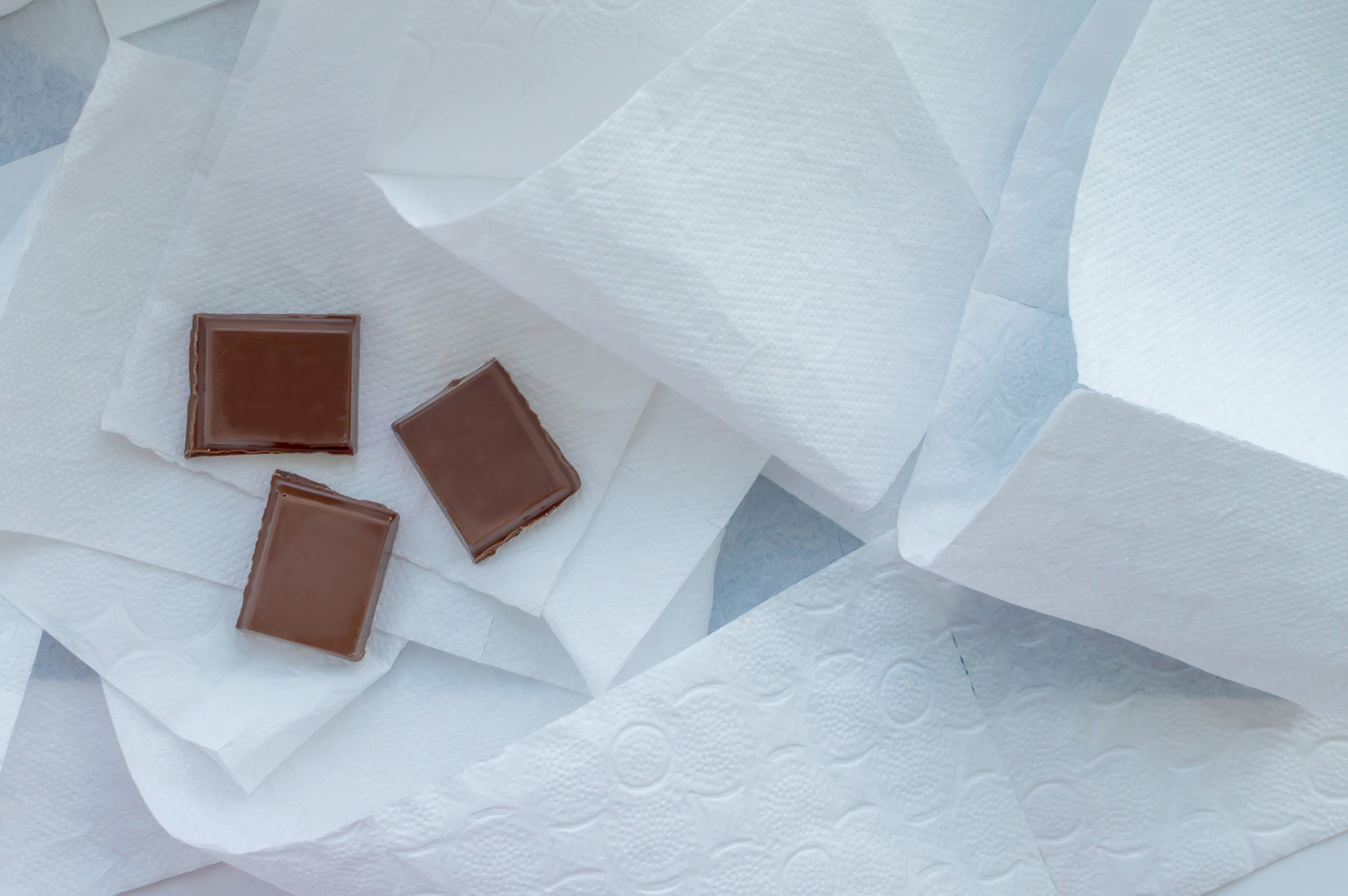 the concept of dification. chocolate on the toilet paper. the vi