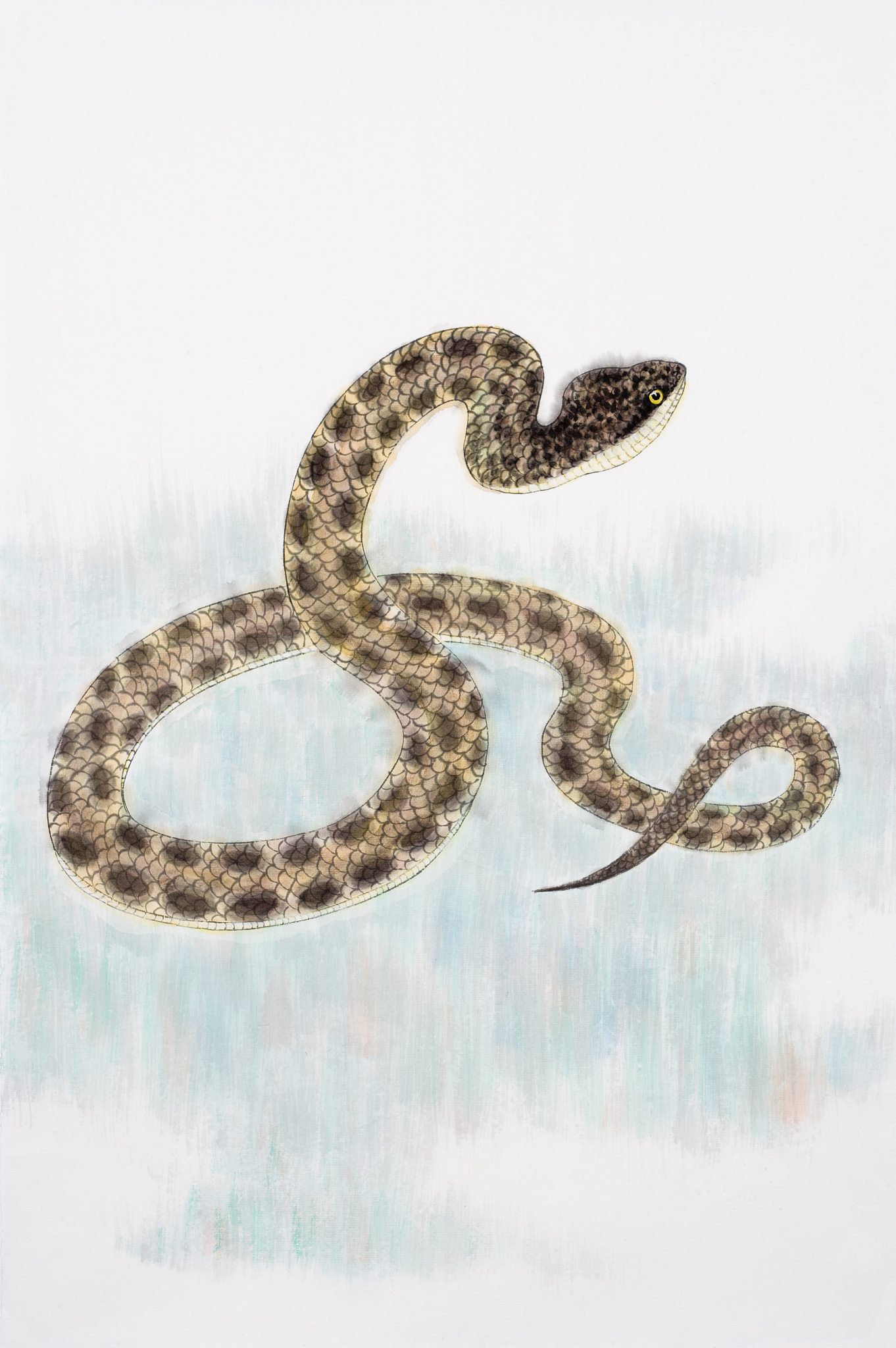 蛇挡路：民间传说与人生启示